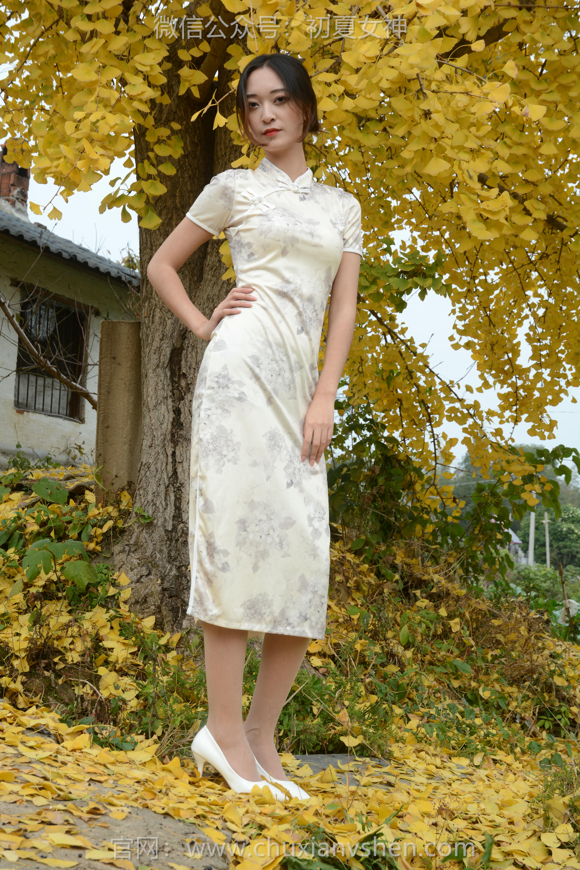 初夏女神 NO.120 依依 寒冬旗袍风[140P+1V／3.27GB]_第4集