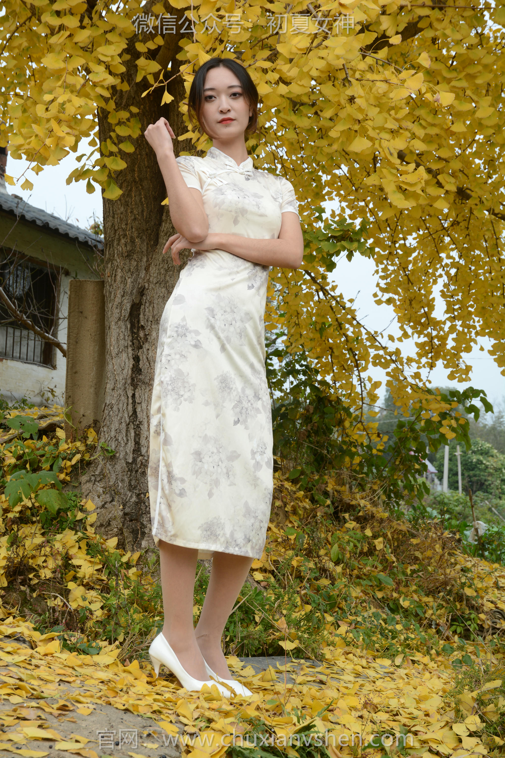 初夏女神 NO.120 依依 寒冬旗袍风[140P+1V／3.27GB]_第4集