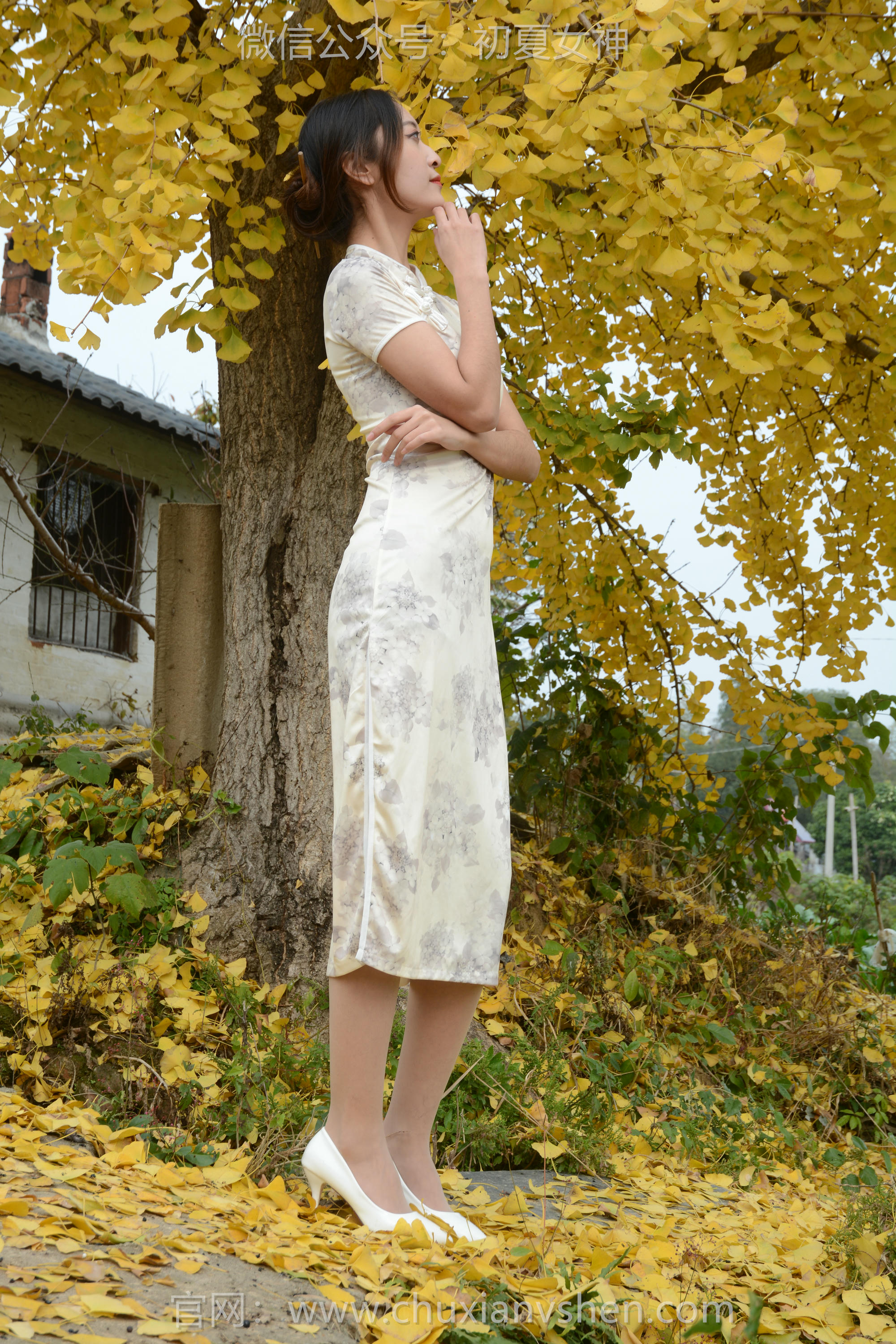 初夏女神 NO.120 依依 寒冬旗袍风[140P+1V／3.27GB]_第4集