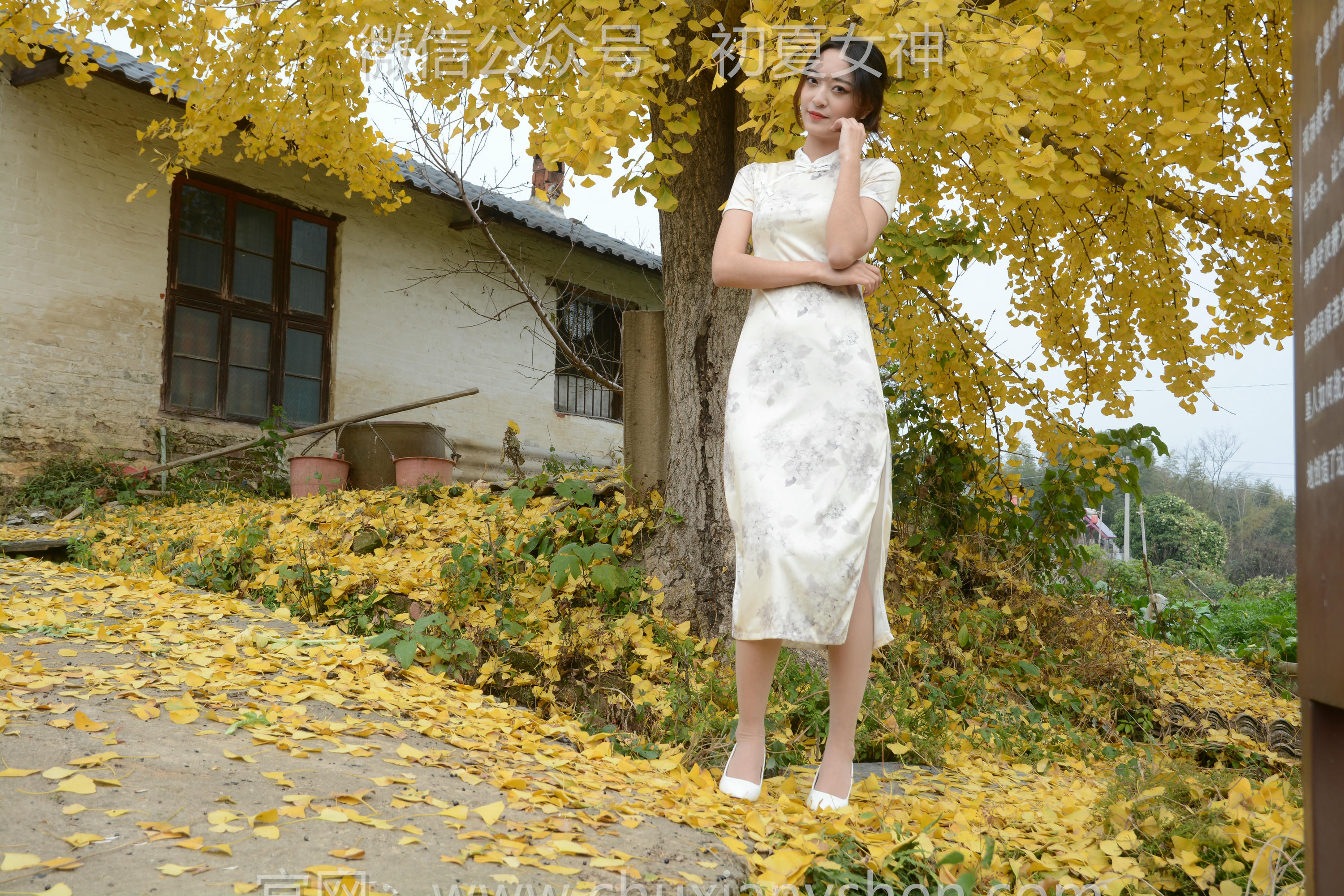 初夏女神 NO.120 依依 寒冬旗袍风[140P+1V／3.27GB]_第4集