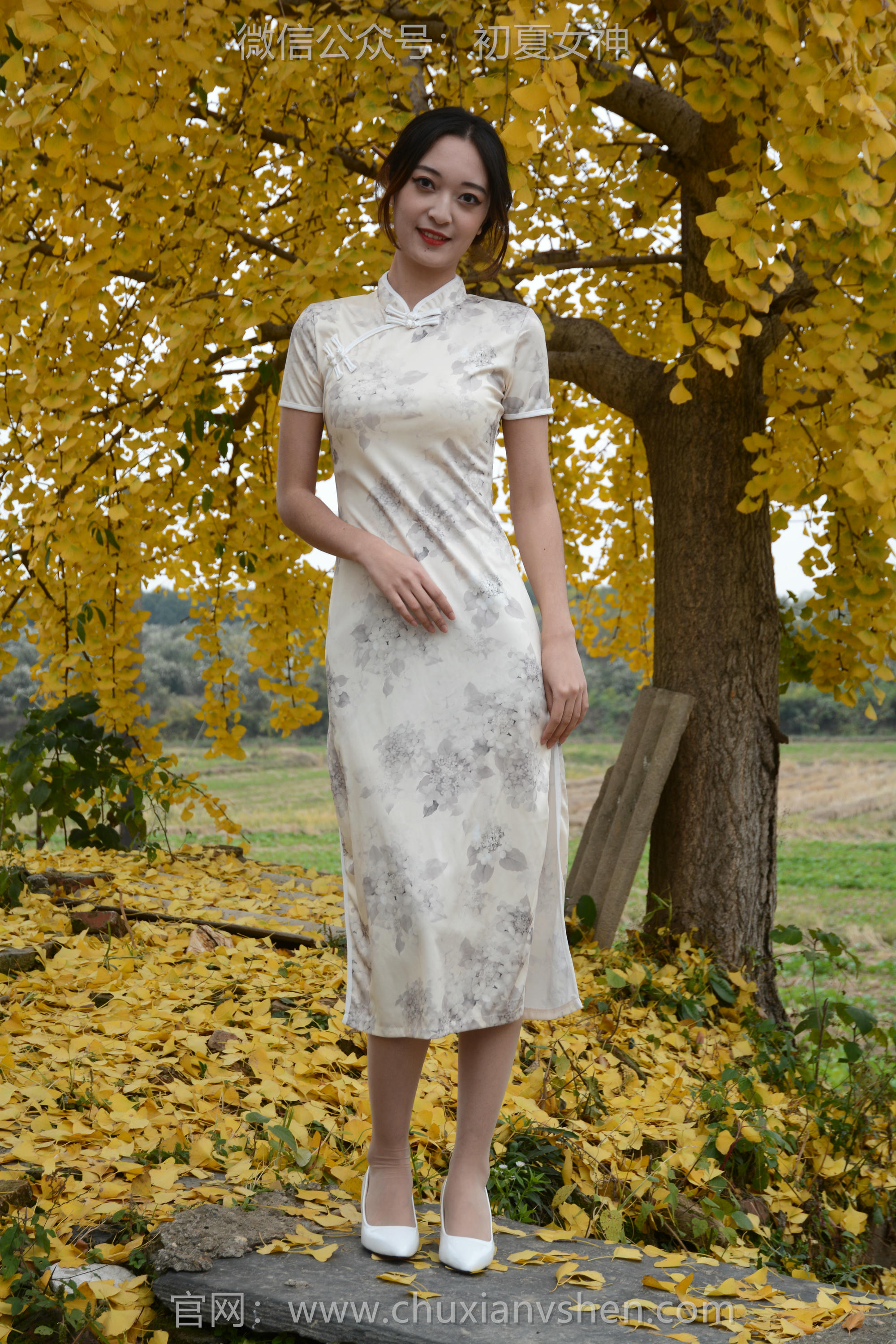 初夏女神 NO.120 依依 寒冬旗袍风[140P+1V／3.27GB]_第1集