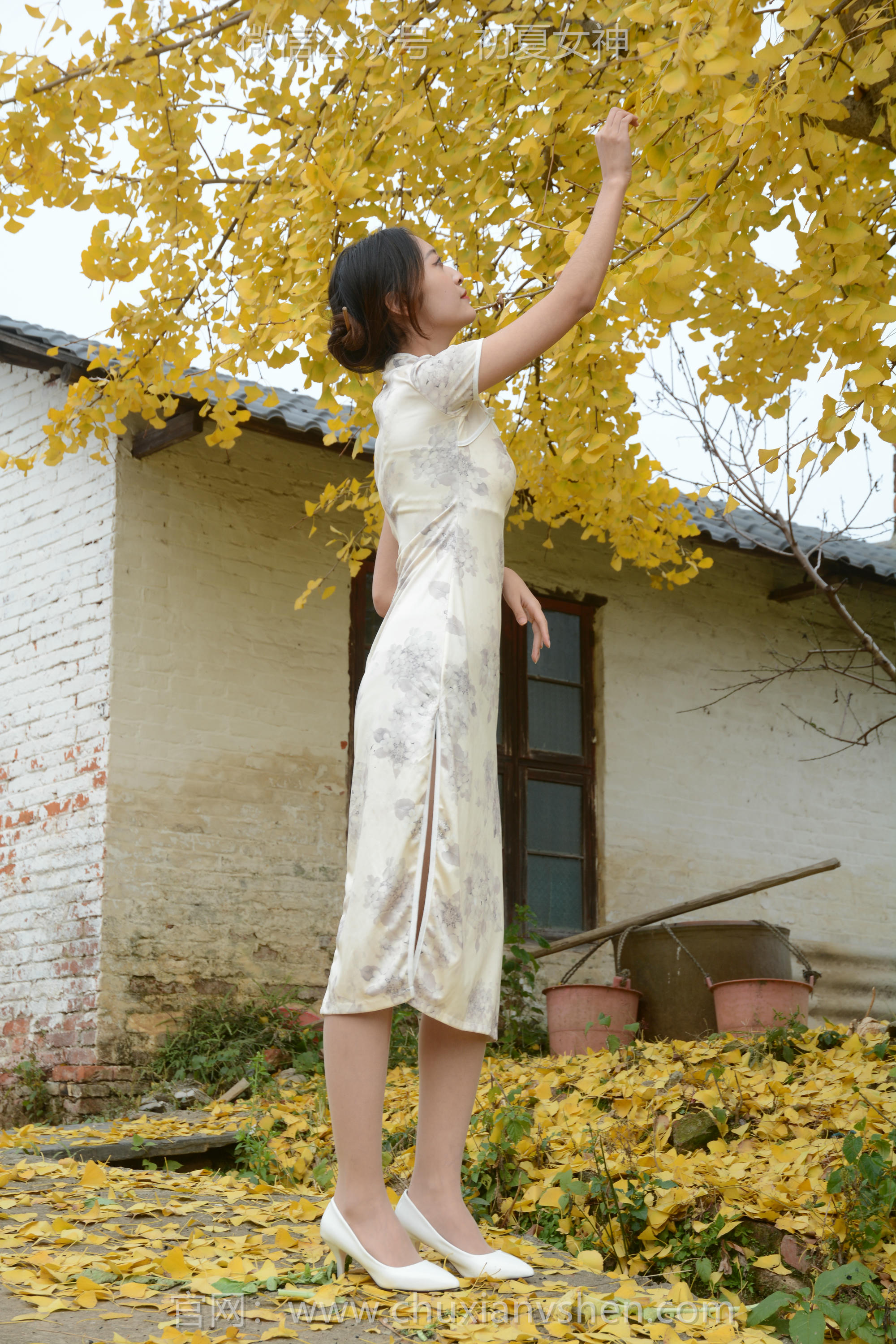 初夏女神 NO.120 依依 寒冬旗袍风[140P+1V／3.27GB]_第4集