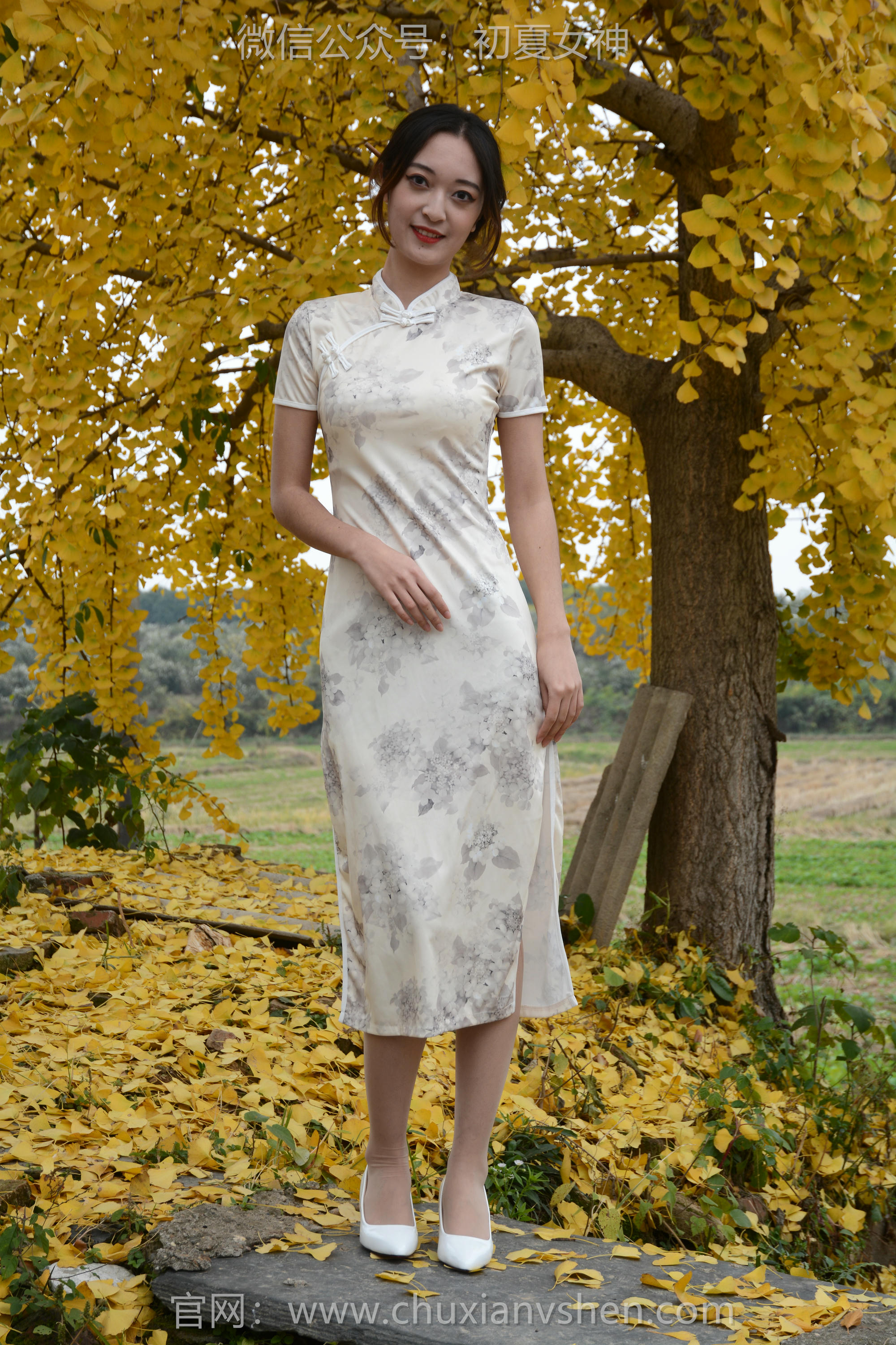 初夏女神 NO.120 依依 寒冬旗袍风[140P+1V／3.27GB]_第1集