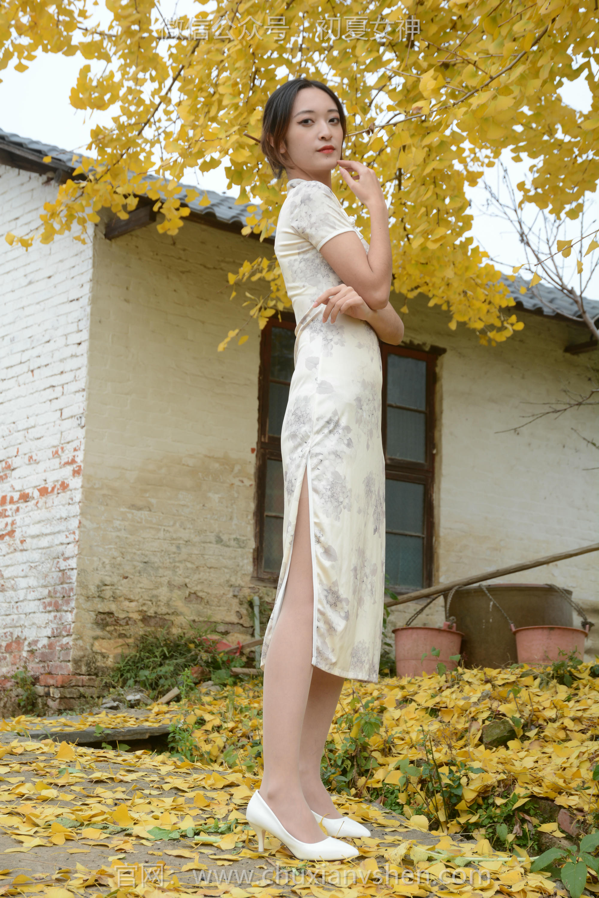 初夏女神 NO.120 依依 寒冬旗袍风[140P+1V／3.27GB]_第5集