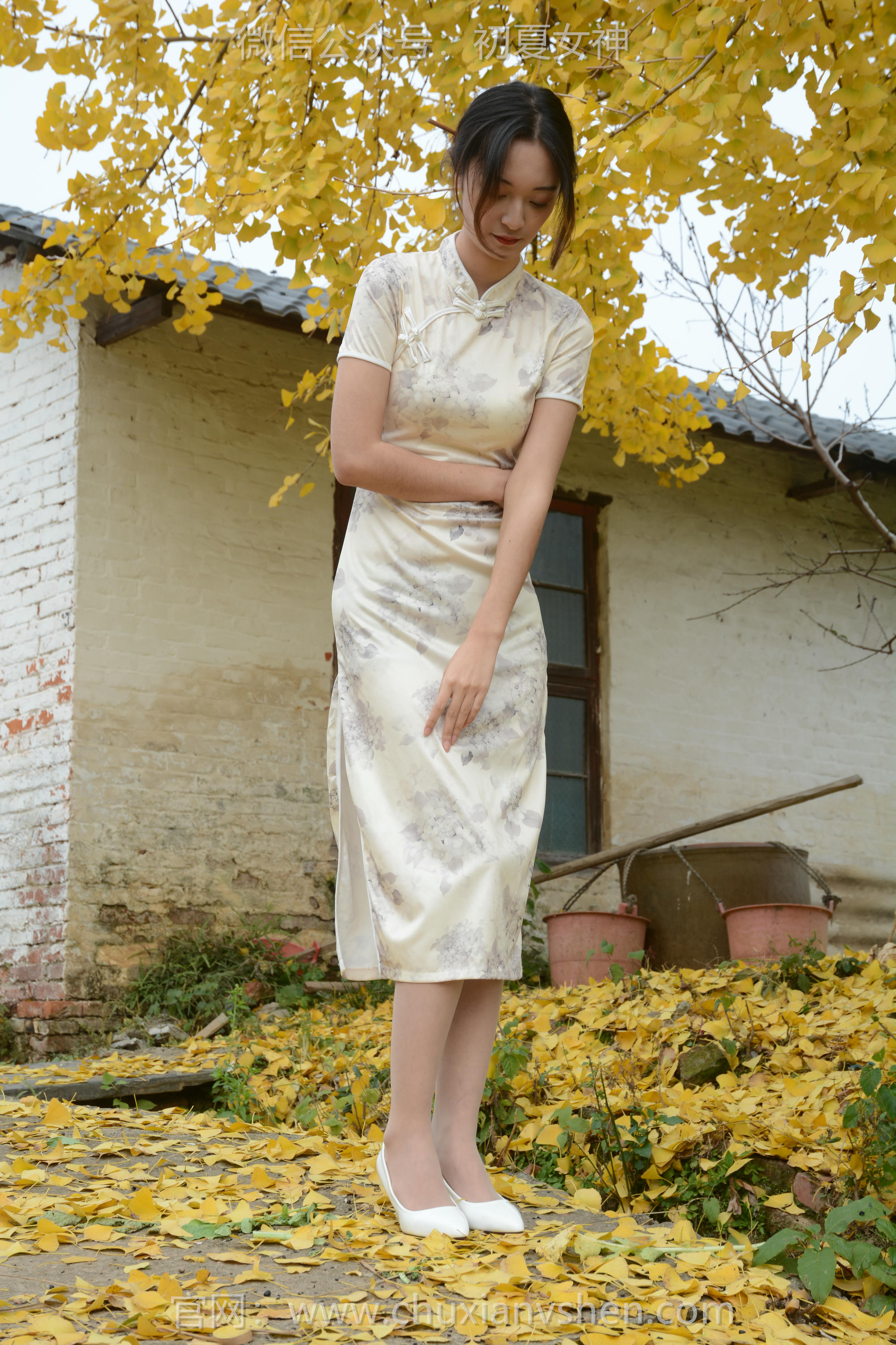 初夏女神 NO.120 依依 寒冬旗袍风[140P+1V／3.27GB]_第5集