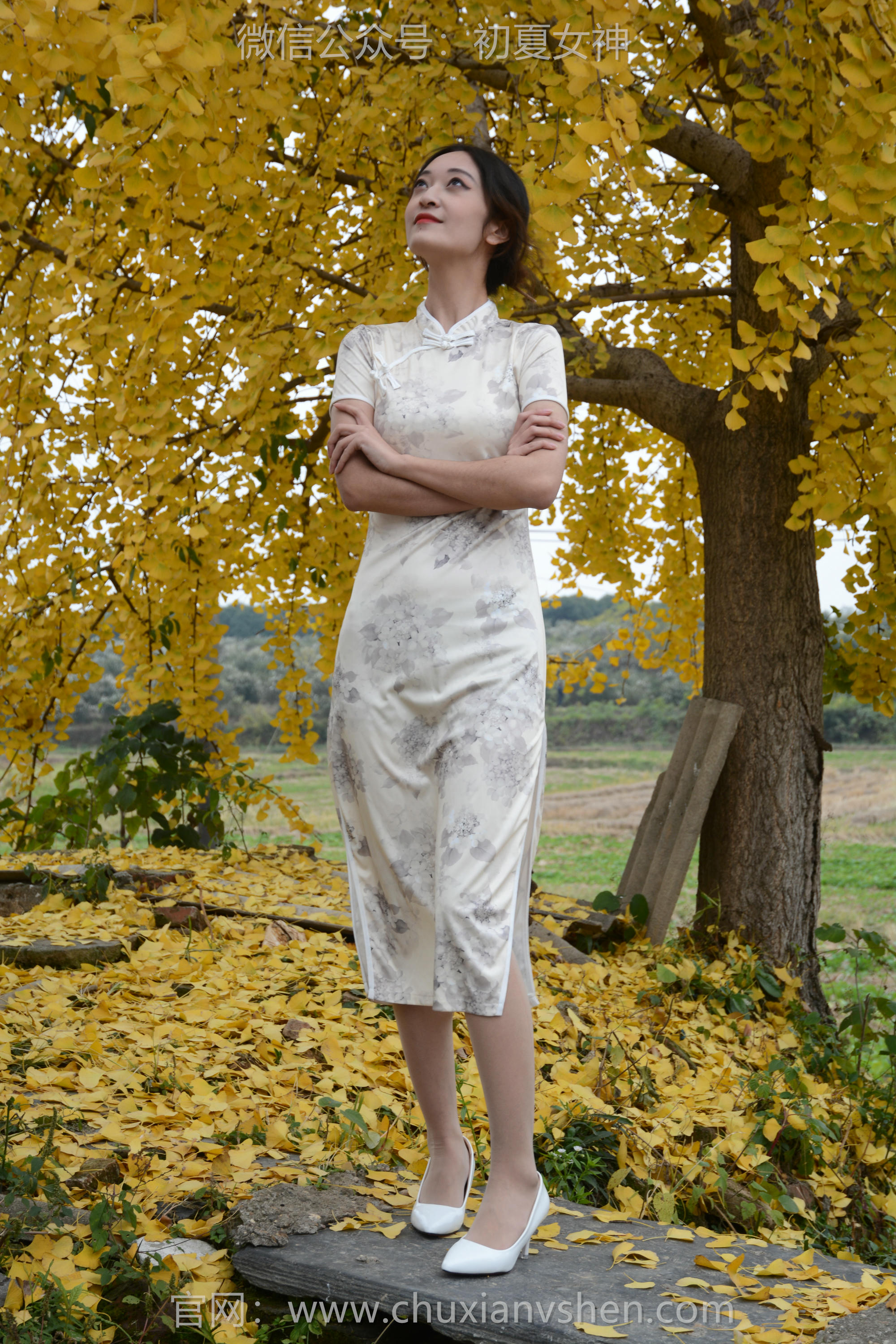 初夏女神 NO.120 依依 寒冬旗袍风[140P+1V／3.27GB]_第1集