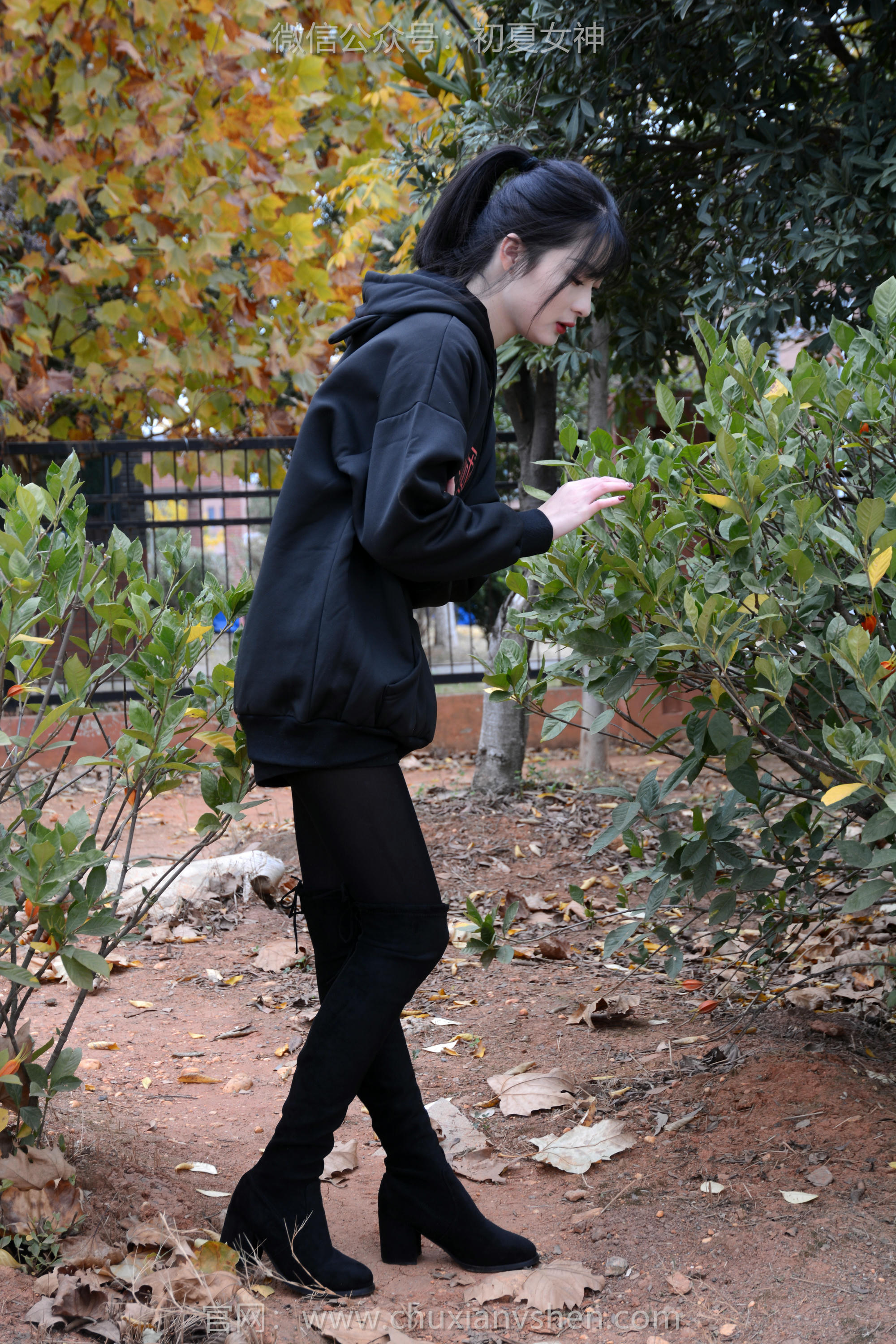 初夏女神 NO.123 安妮 浅看红枫[120P+1V／3.12GB]_第1集