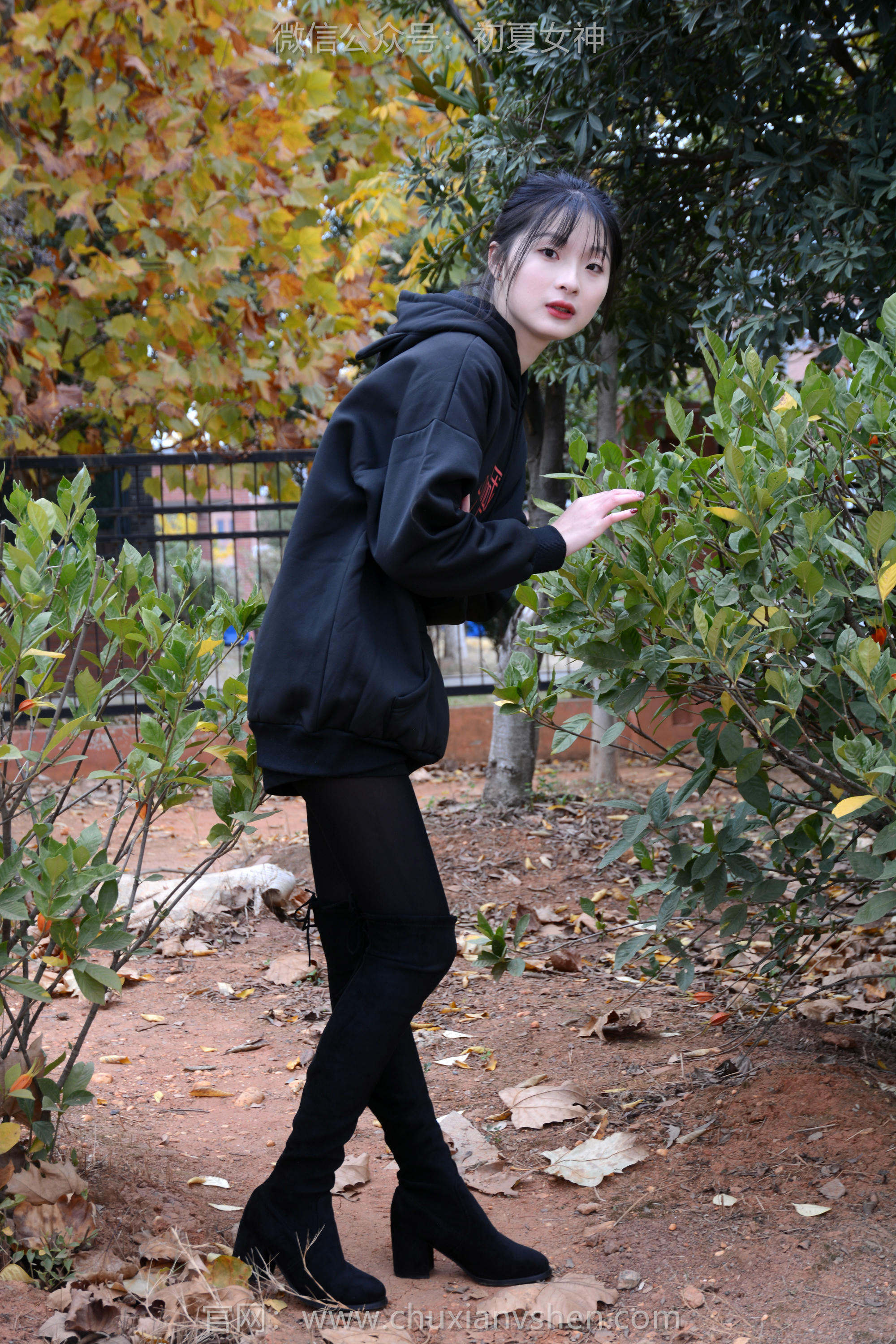 初夏女神 NO.123 安妮 浅看红枫[120P+1V／3.12GB]_第1集