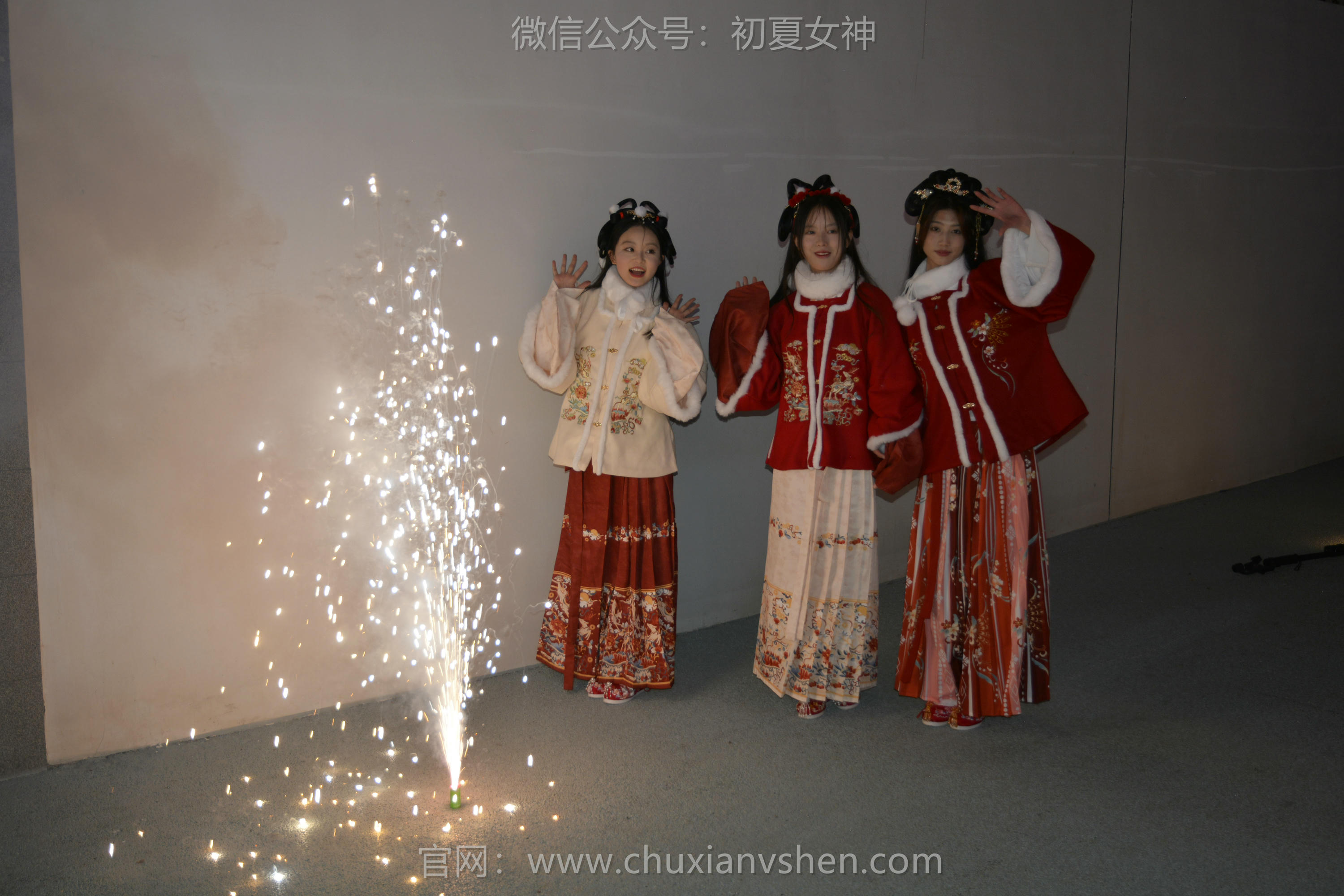 初夏女神 NO.139 双双&秀秀&情情 新年快乐[110P+1V／3.06GB]_第5集