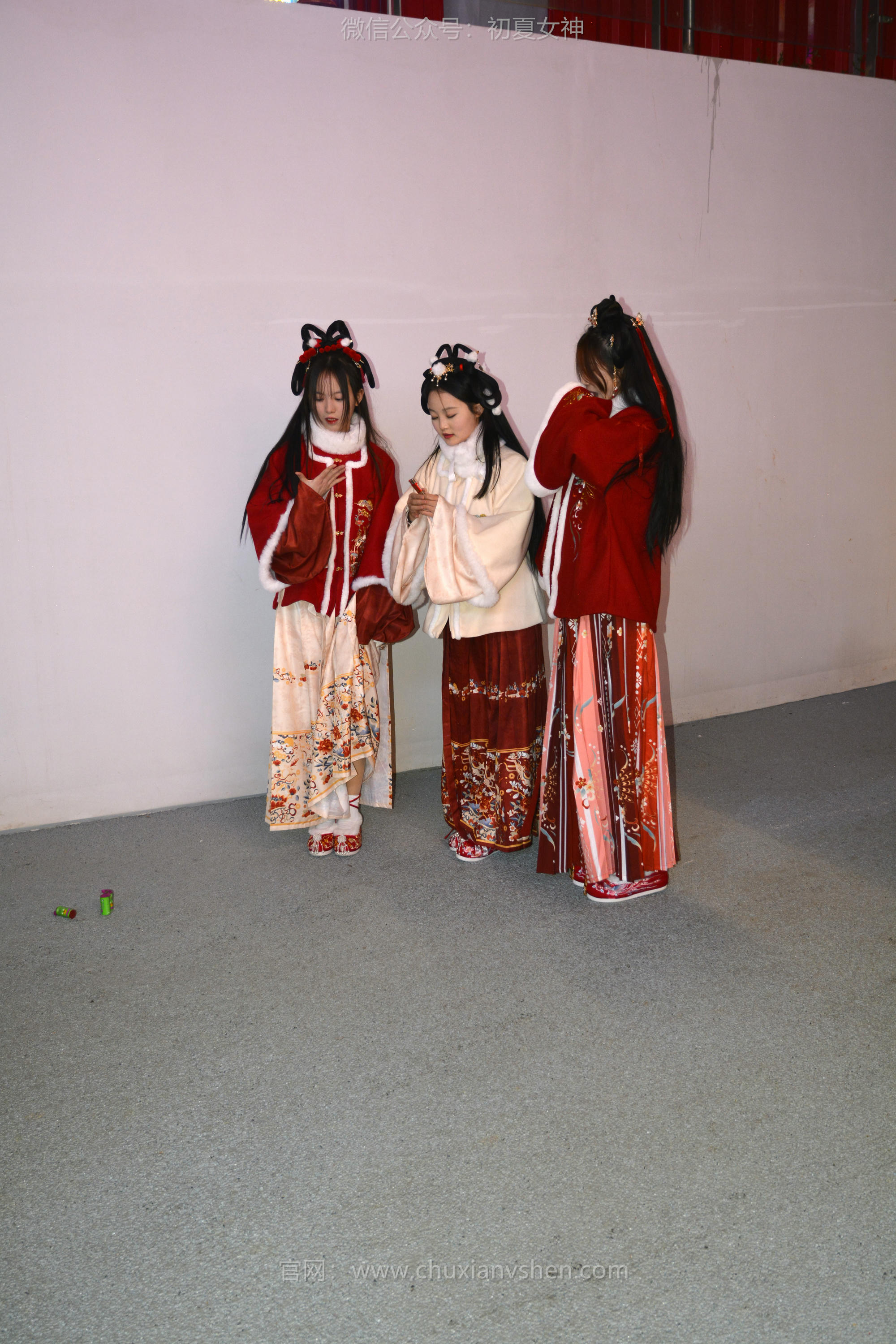 初夏女神 NO.139 双双&秀秀&情情 新年快乐[110P+1V／3.06GB]_第5集