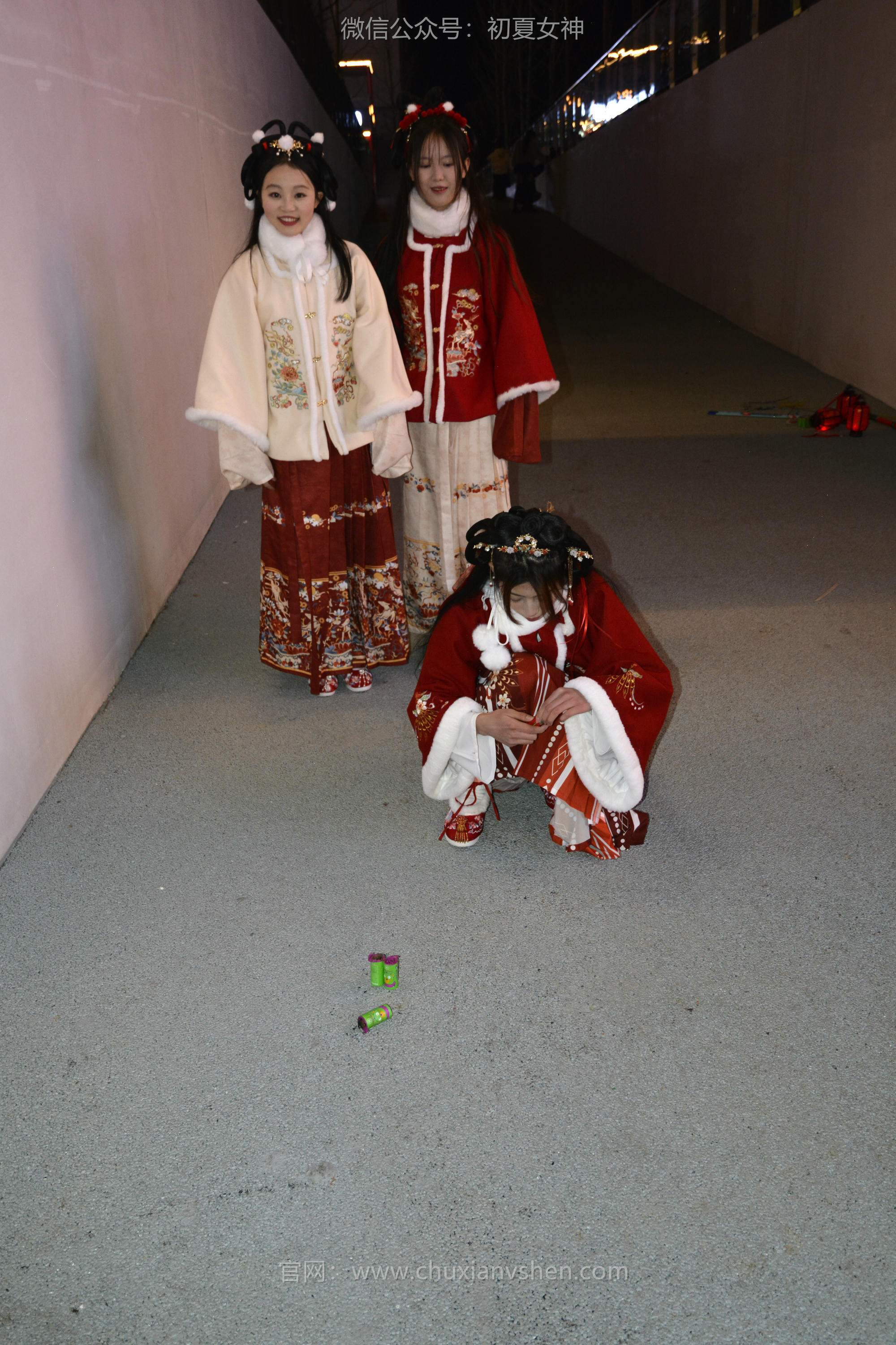 初夏女神 NO.139 双双&秀秀&情情 新年快乐[110P+1V／3.06GB]_第5集