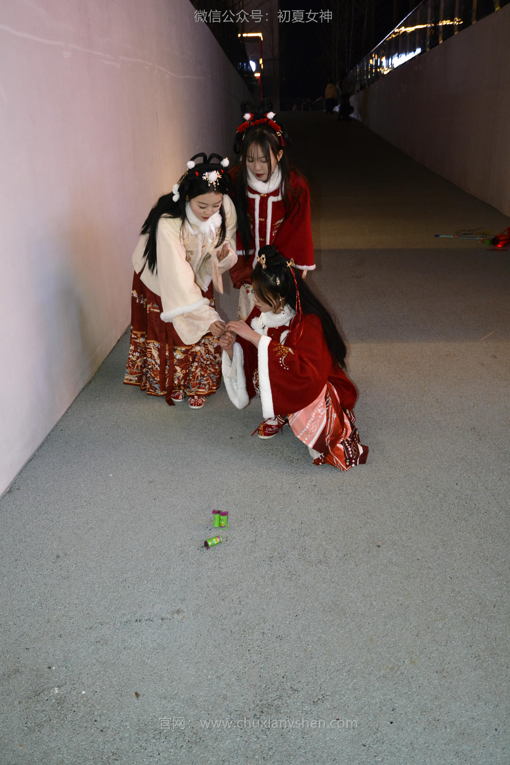 初夏女神 NO.139 双双&秀秀&情情 新年快乐[110P+1V／3.06GB]_第5集