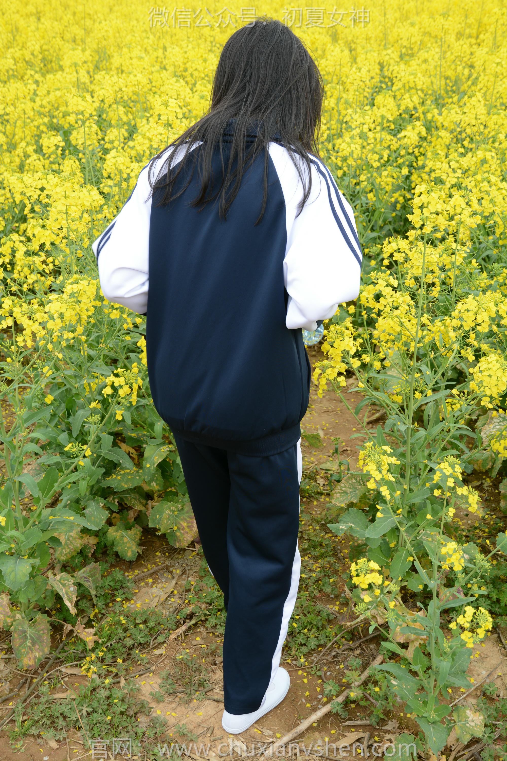 初夏女神 NO.156 双双 油菜花地 [100P1V-3.35GB]_第1集