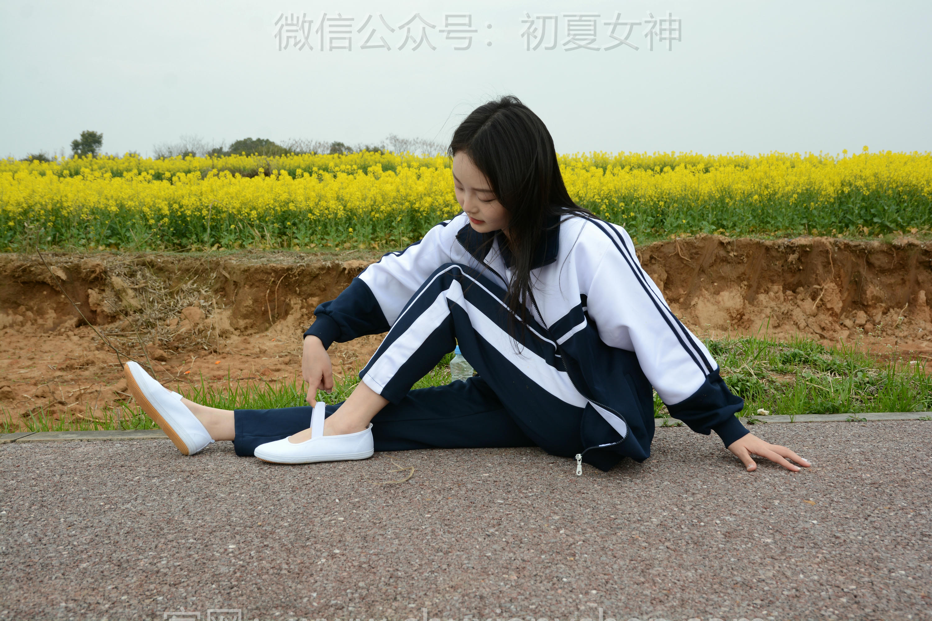 初夏女神 NO.156 双双 油菜花地 [100P1V-3.35GB]_第3集