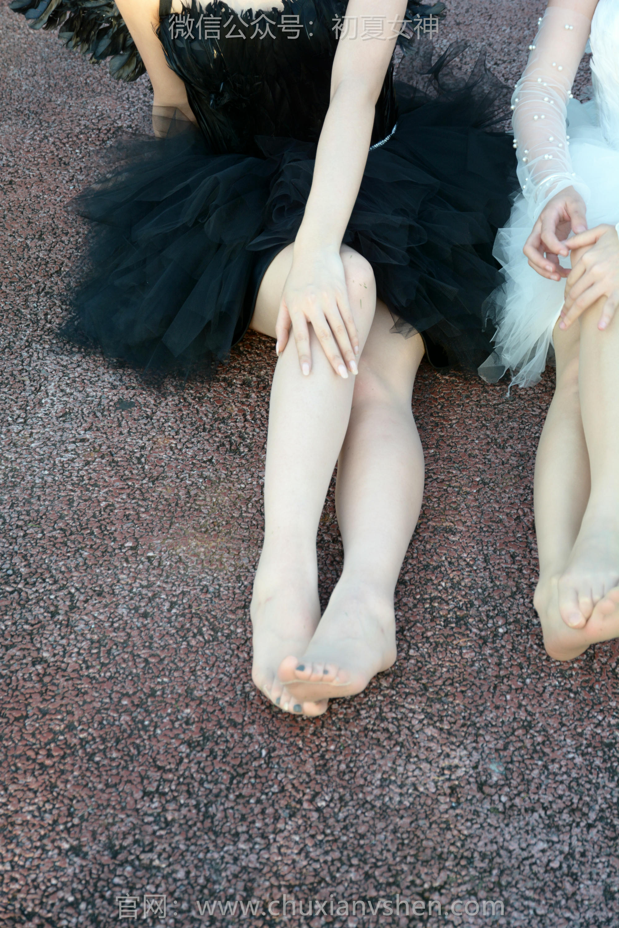 初夏女神 NO.213 双双、环环 黑白天使 [140P1V-6.10GB]_第5集