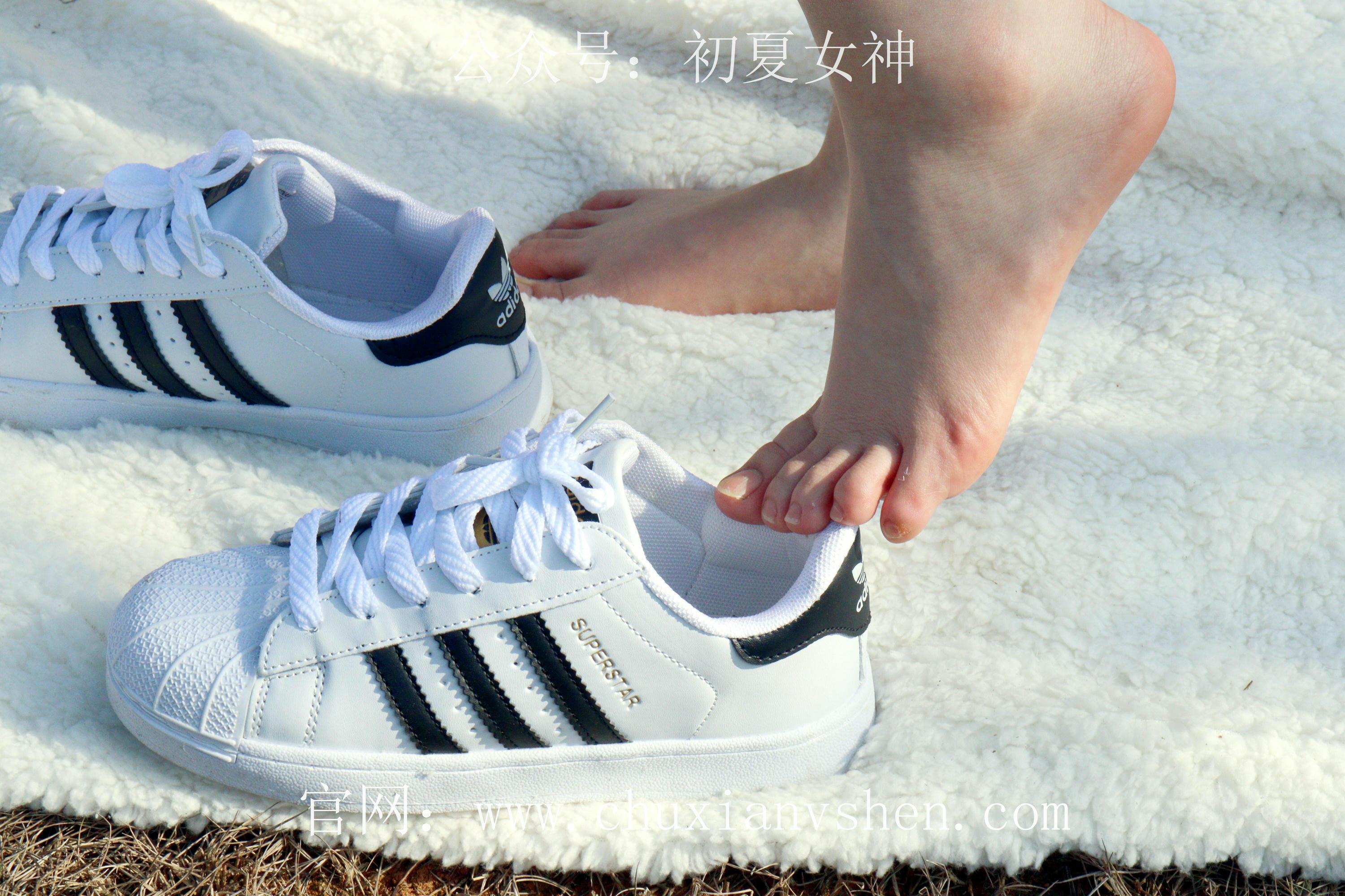 初夏女神 NO.232 念念~墨绿色JK搭配三叶草贝壳头鞋 [155P1V 4.84 GB]-155P_第6集