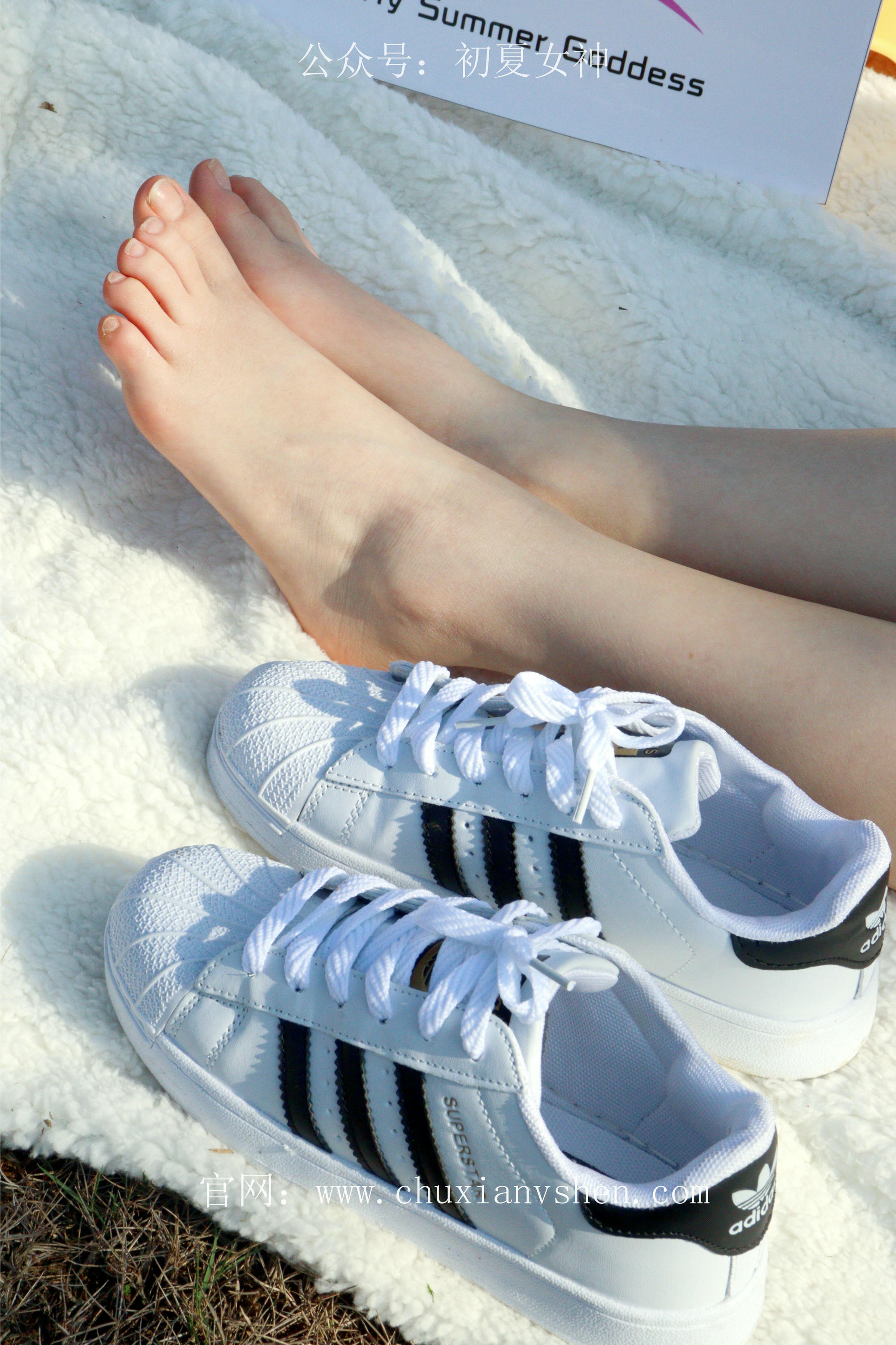 初夏女神 NO.232 念念~墨绿色JK搭配三叶草贝壳头鞋 [155P1V 4.84 GB]-155P_第6集