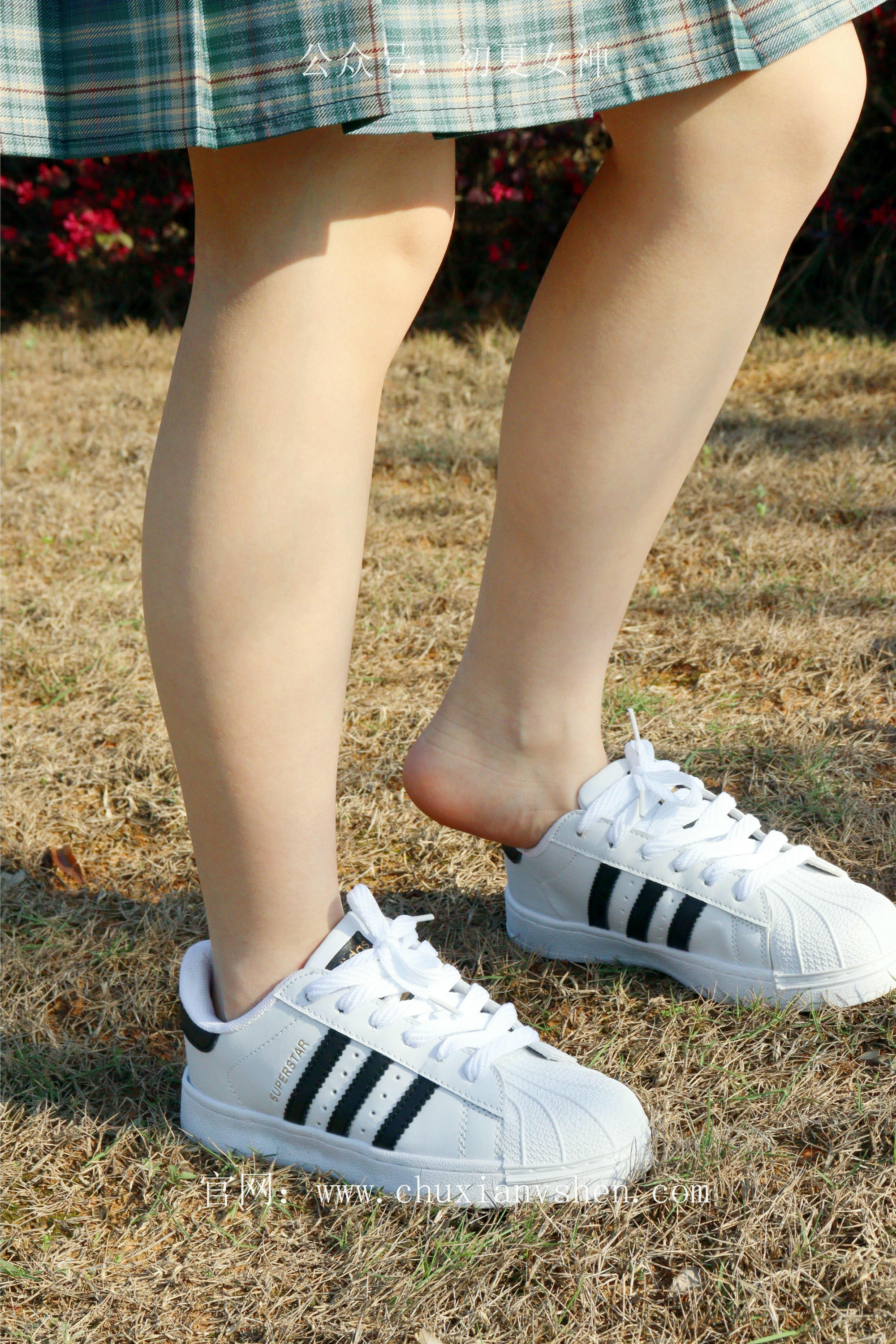 初夏女神 NO.232 念念~墨绿色JK搭配三叶草贝壳头鞋 [155P1V 4.84 GB]-155P_第8集