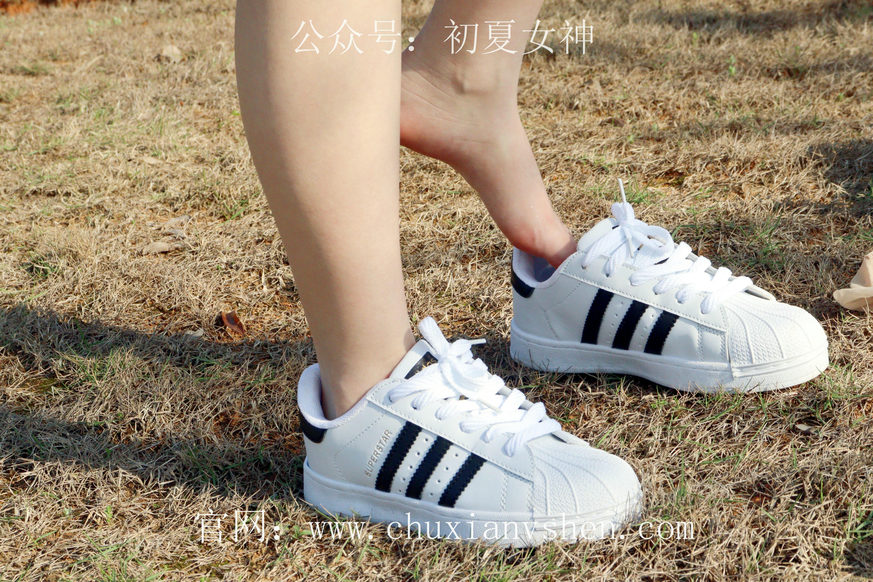 初夏女神 NO.232 念念~墨绿色JK搭配三叶草贝壳头鞋 [155P1V 4.84 GB]-155P_第8集