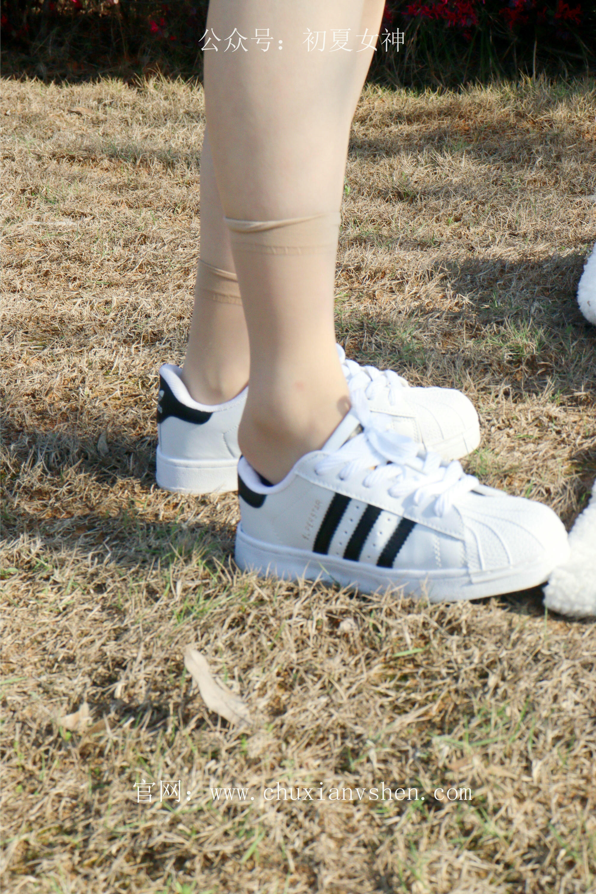 初夏女神 NO.232 念念~墨绿色JK搭配三叶草贝壳头鞋 [155P1V 4.84 GB]-155P_第8集