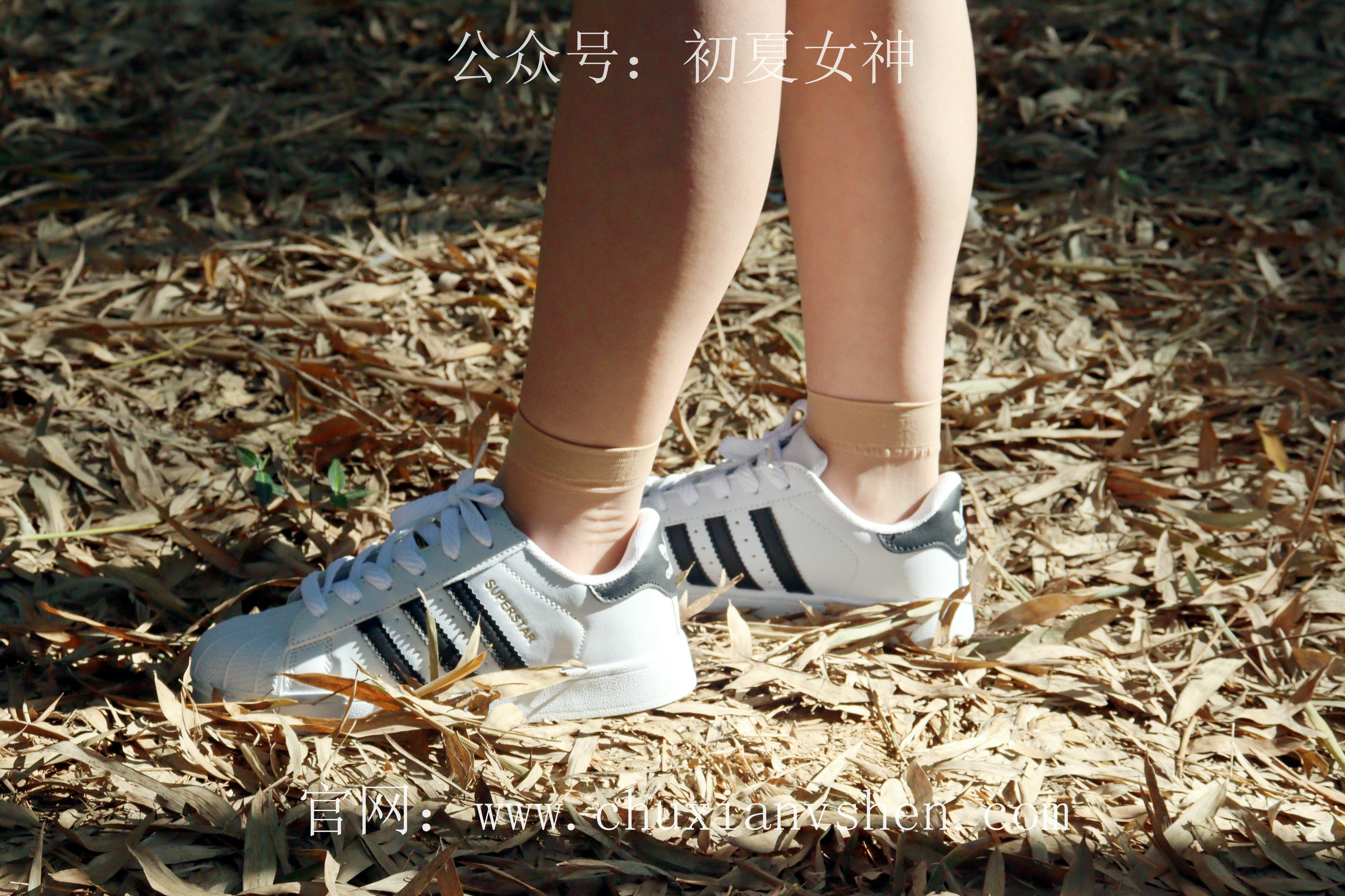 初夏女神 NO.232 念念~墨绿色JK搭配三叶草贝壳头鞋 [155P1V 4.84 GB]-155P_第2集