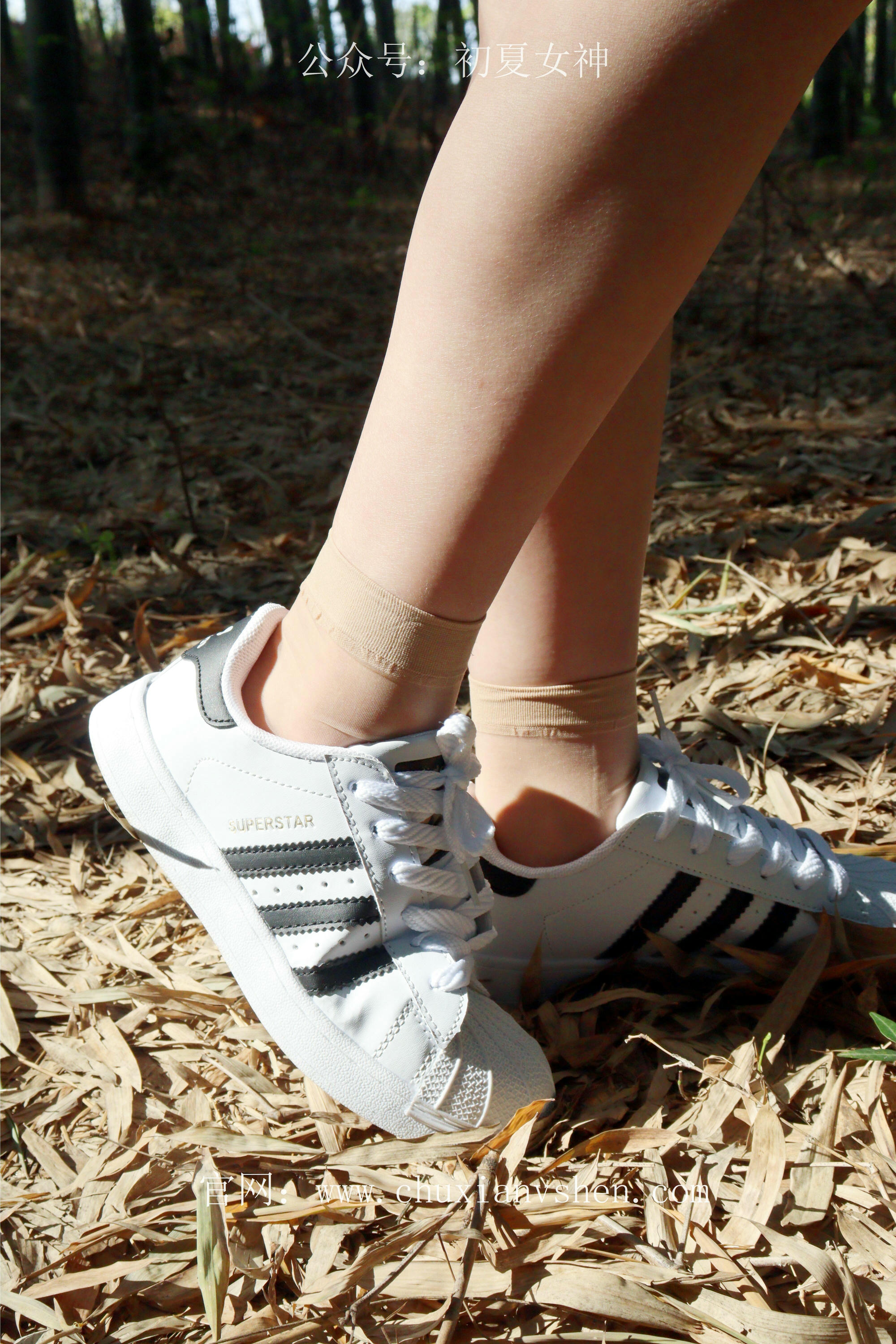 初夏女神 NO.232 念念~墨绿色JK搭配三叶草贝壳头鞋 [155P1V 4.84 GB]-155P_第2集