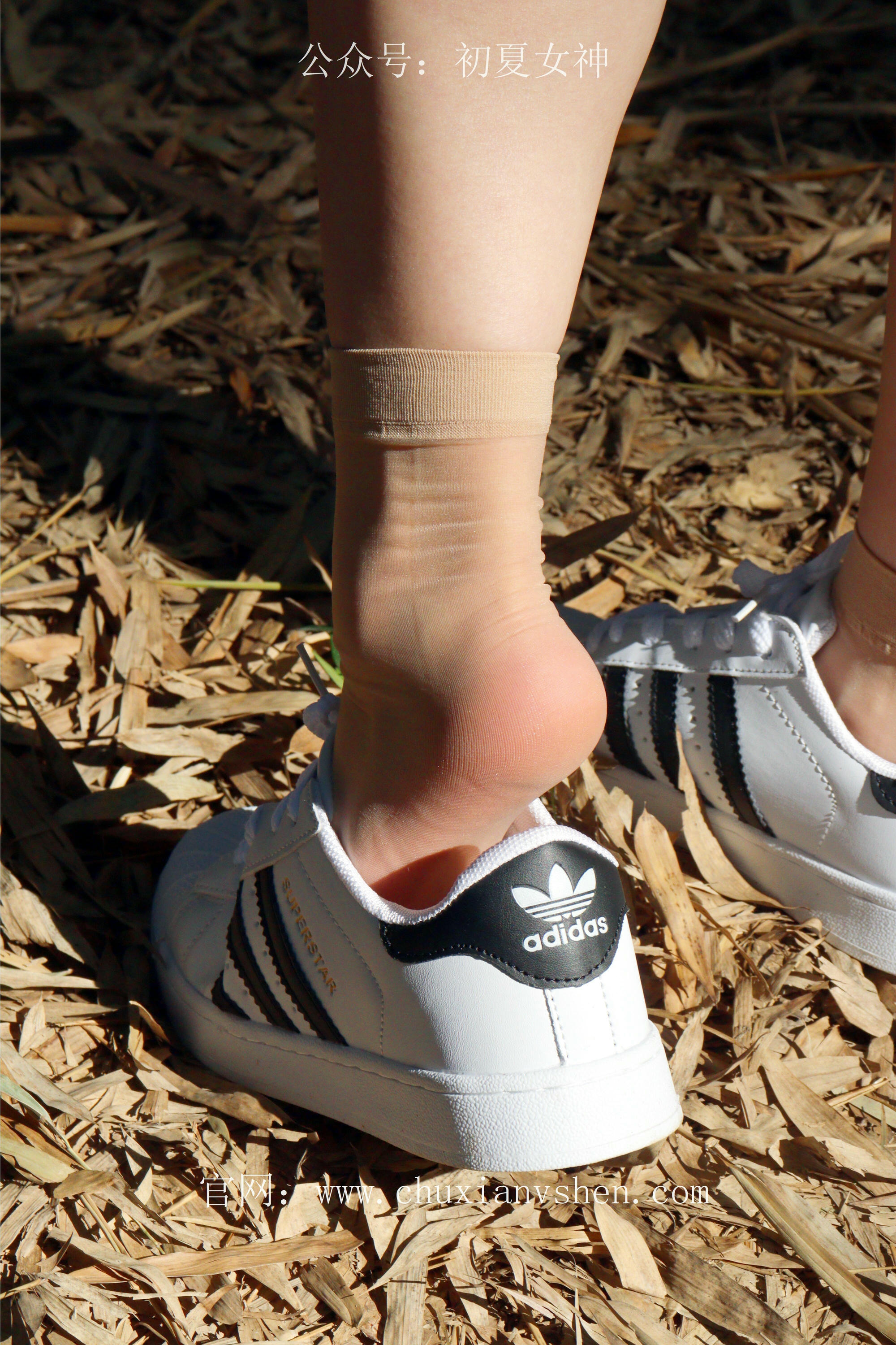 初夏女神 NO.232 念念~墨绿色JK搭配三叶草贝壳头鞋 [155P1V 4.84 GB]-155P_第2集