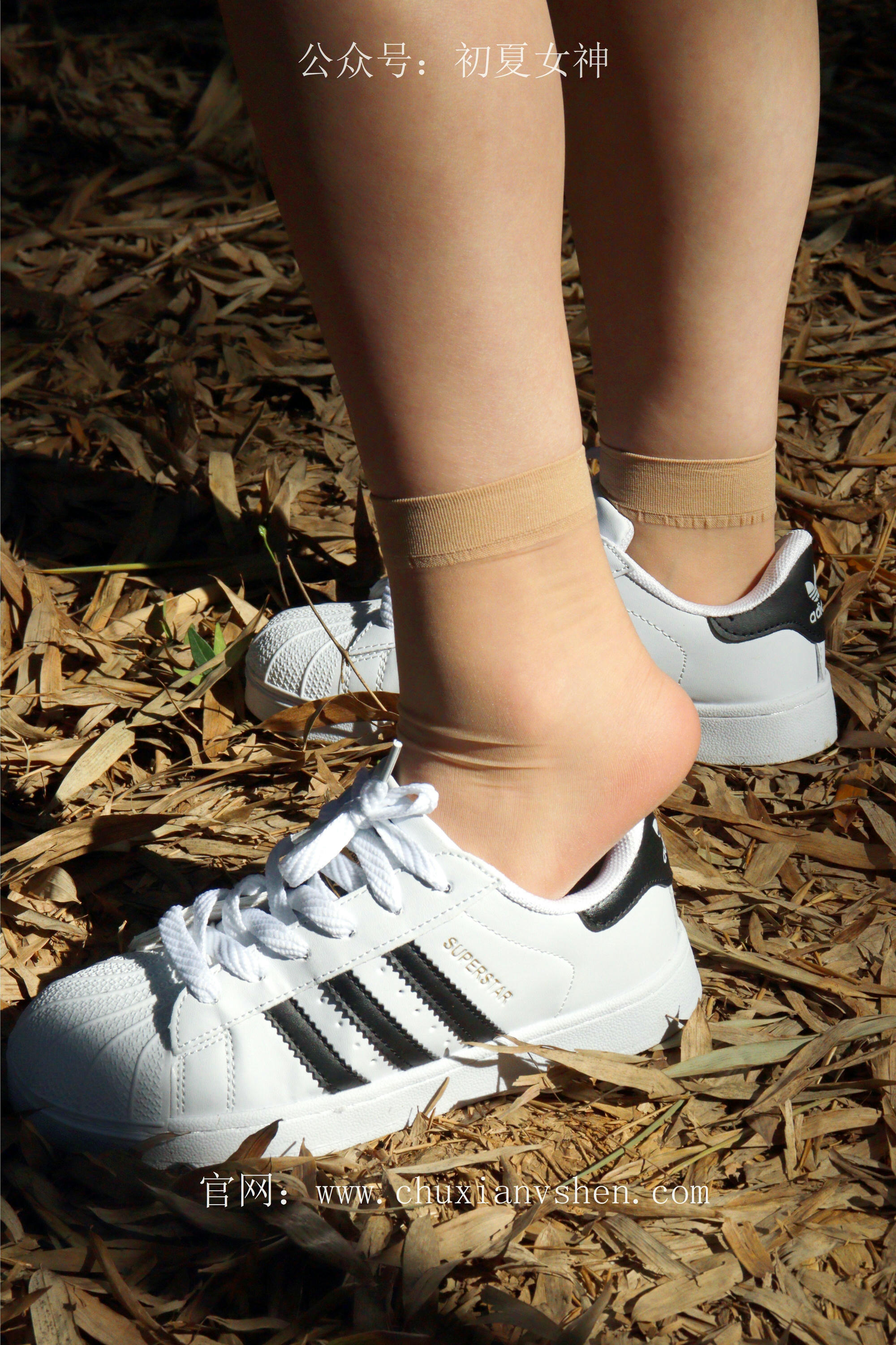 初夏女神 NO.232 念念~墨绿色JK搭配三叶草贝壳头鞋 [155P1V 4.84 GB]-155P_第2集