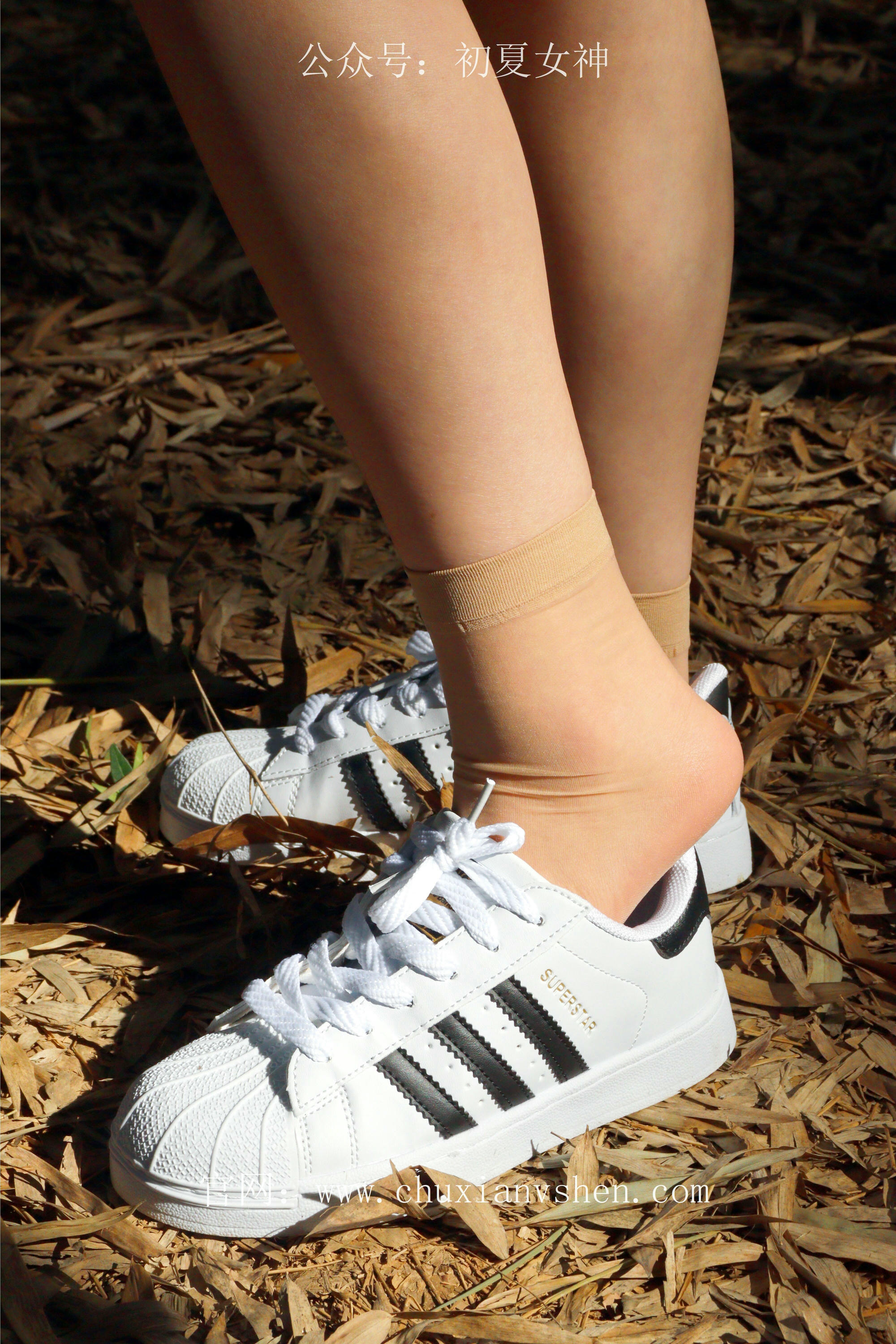 初夏女神 NO.232 念念~墨绿色JK搭配三叶草贝壳头鞋 [155P1V 4.84 GB]-155P_第2集