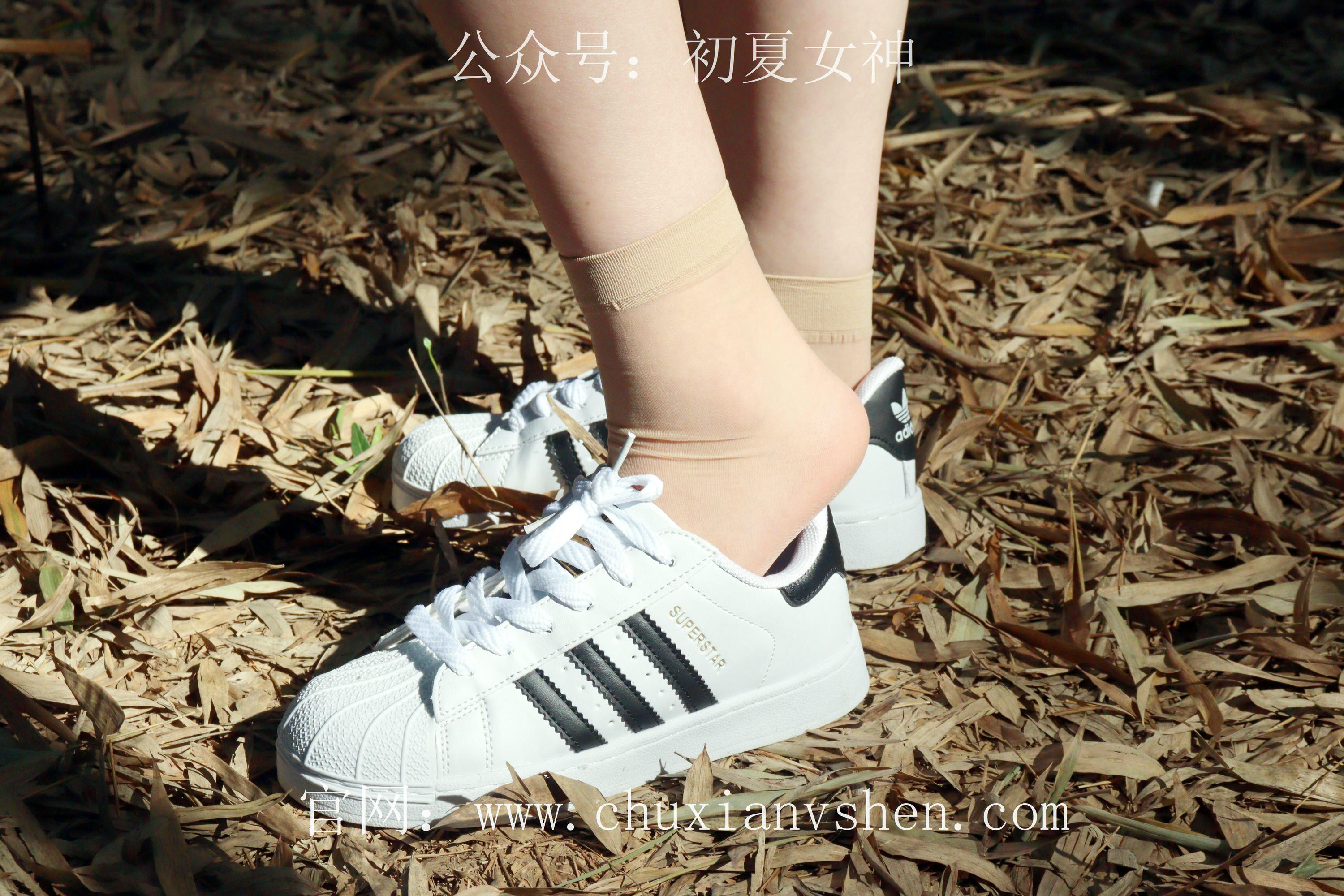 初夏女神 NO.232 念念~墨绿色JK搭配三叶草贝壳头鞋 [155P1V 4.84 GB]-155P_第2集