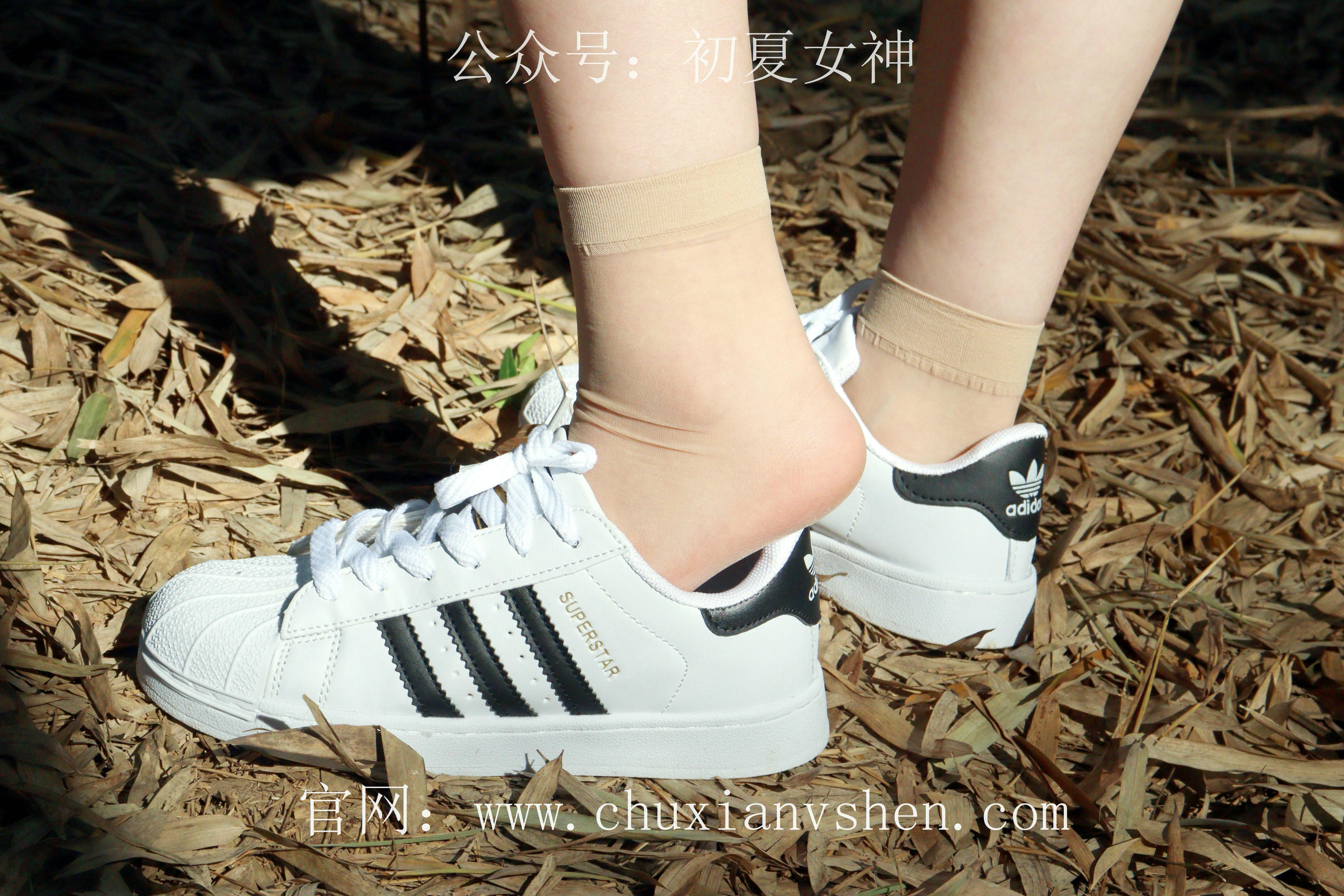 初夏女神 NO.232 念念~墨绿色JK搭配三叶草贝壳头鞋 [155P1V 4.84 GB]-155P_第2集