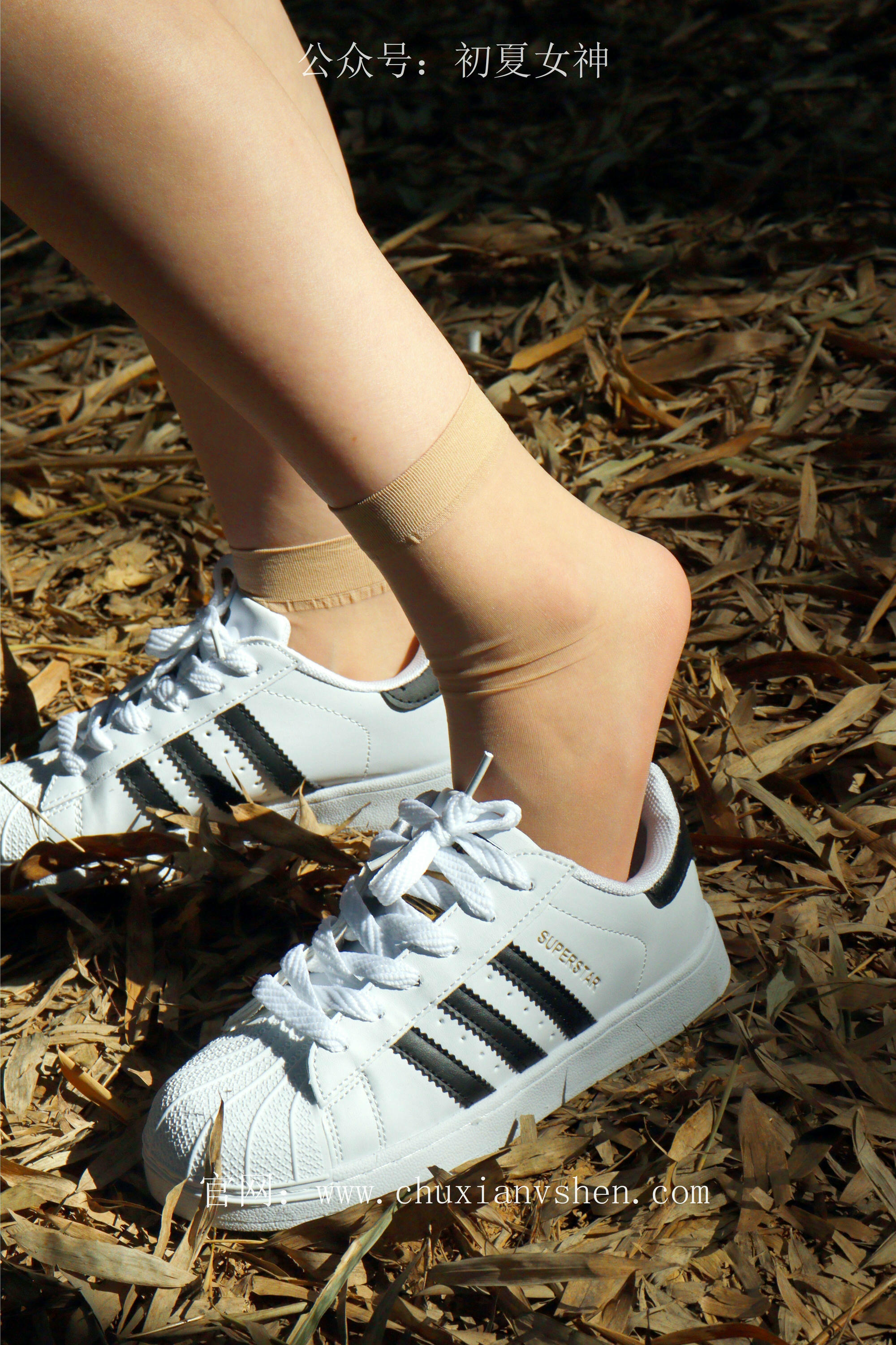 初夏女神 NO.232 念念~墨绿色JK搭配三叶草贝壳头鞋 [155P1V 4.84 GB]-155P_第2集