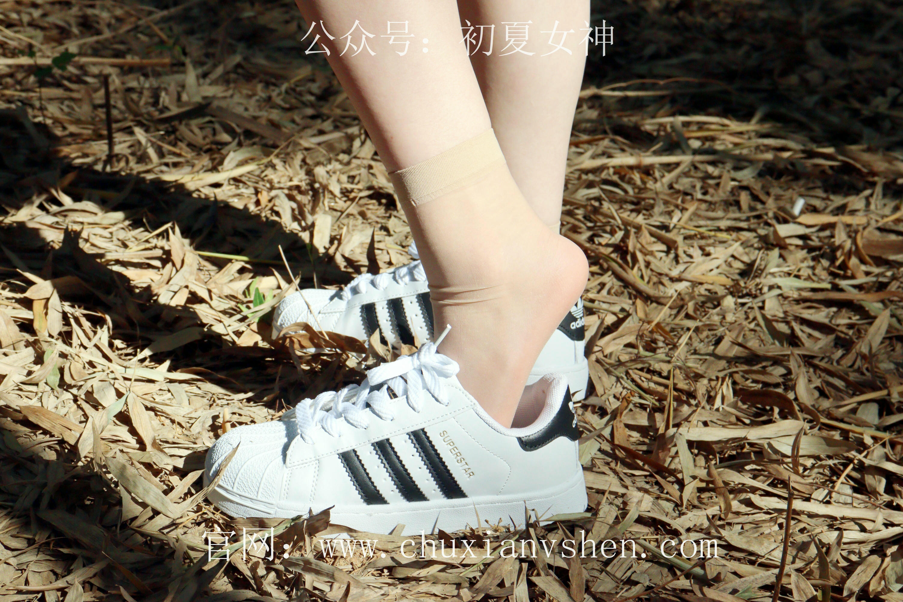 初夏女神 NO.232 念念~墨绿色JK搭配三叶草贝壳头鞋 [155P1V 4.84 GB]-155P_第2集