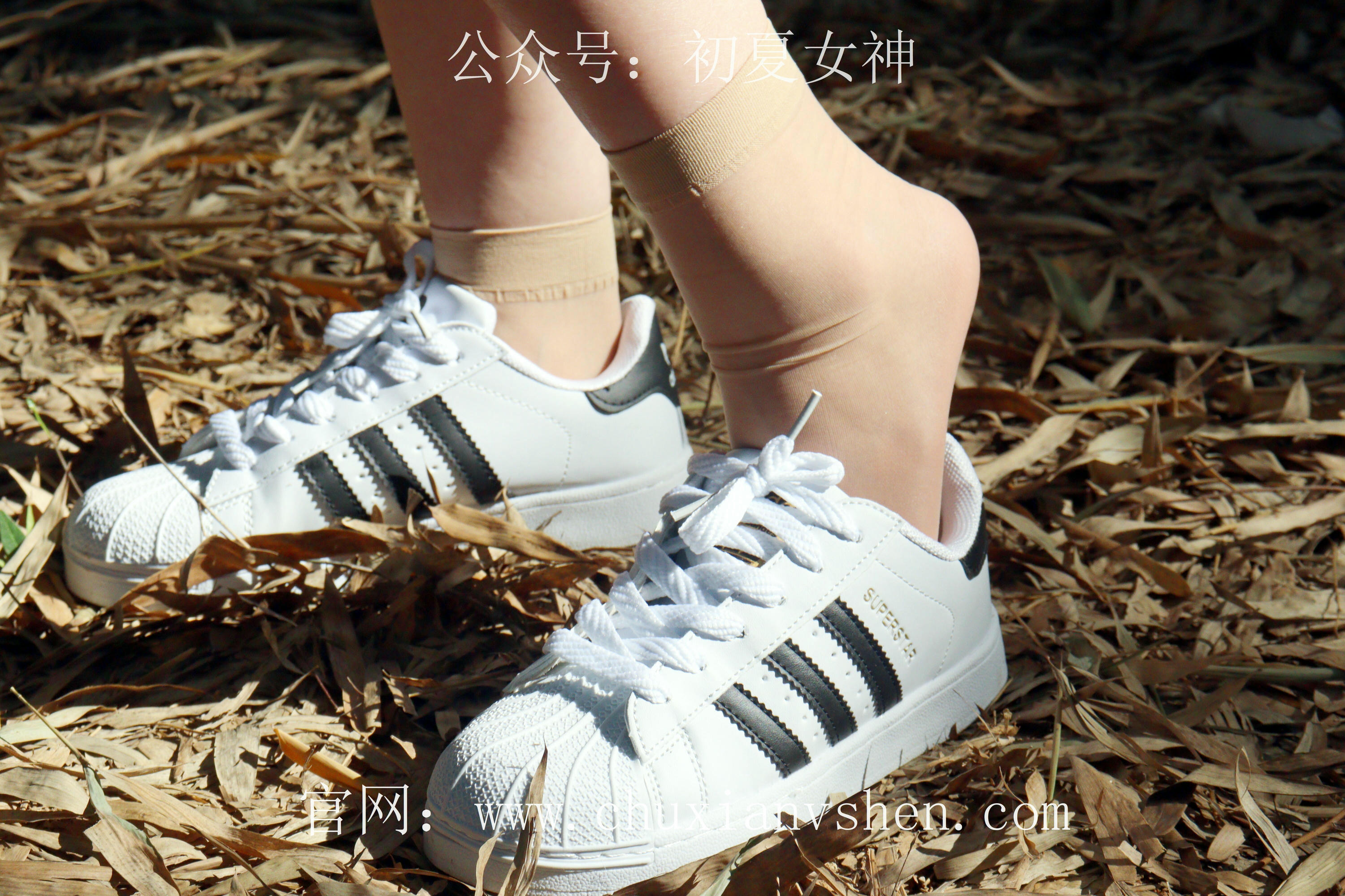 初夏女神 NO.232 念念~墨绿色JK搭配三叶草贝壳头鞋 [155P1V 4.84 GB]-155P_第2集