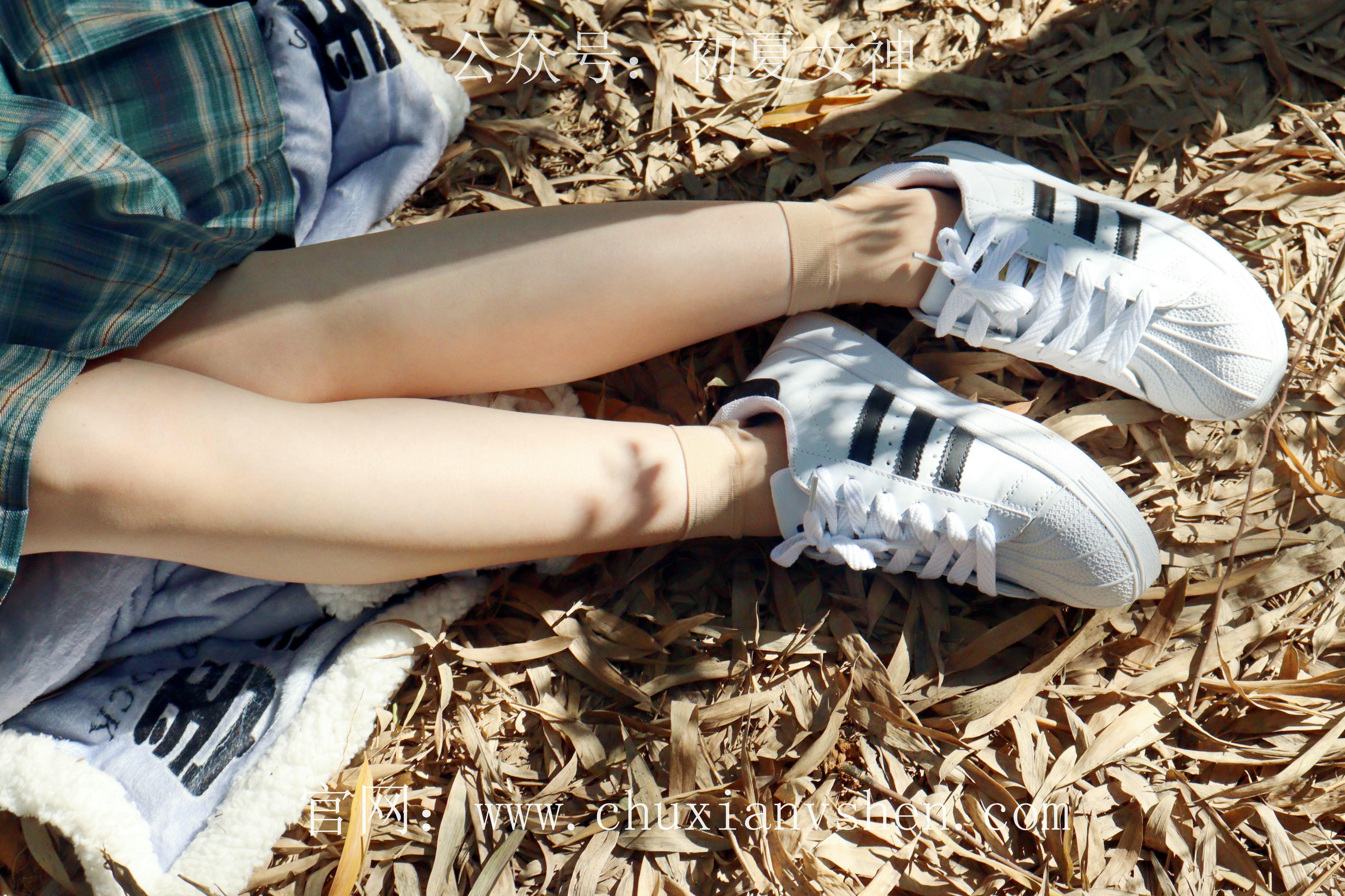 初夏女神 NO.232 念念~墨绿色JK搭配三叶草贝壳头鞋 [155P1V 4.84 GB]-155P_第3集