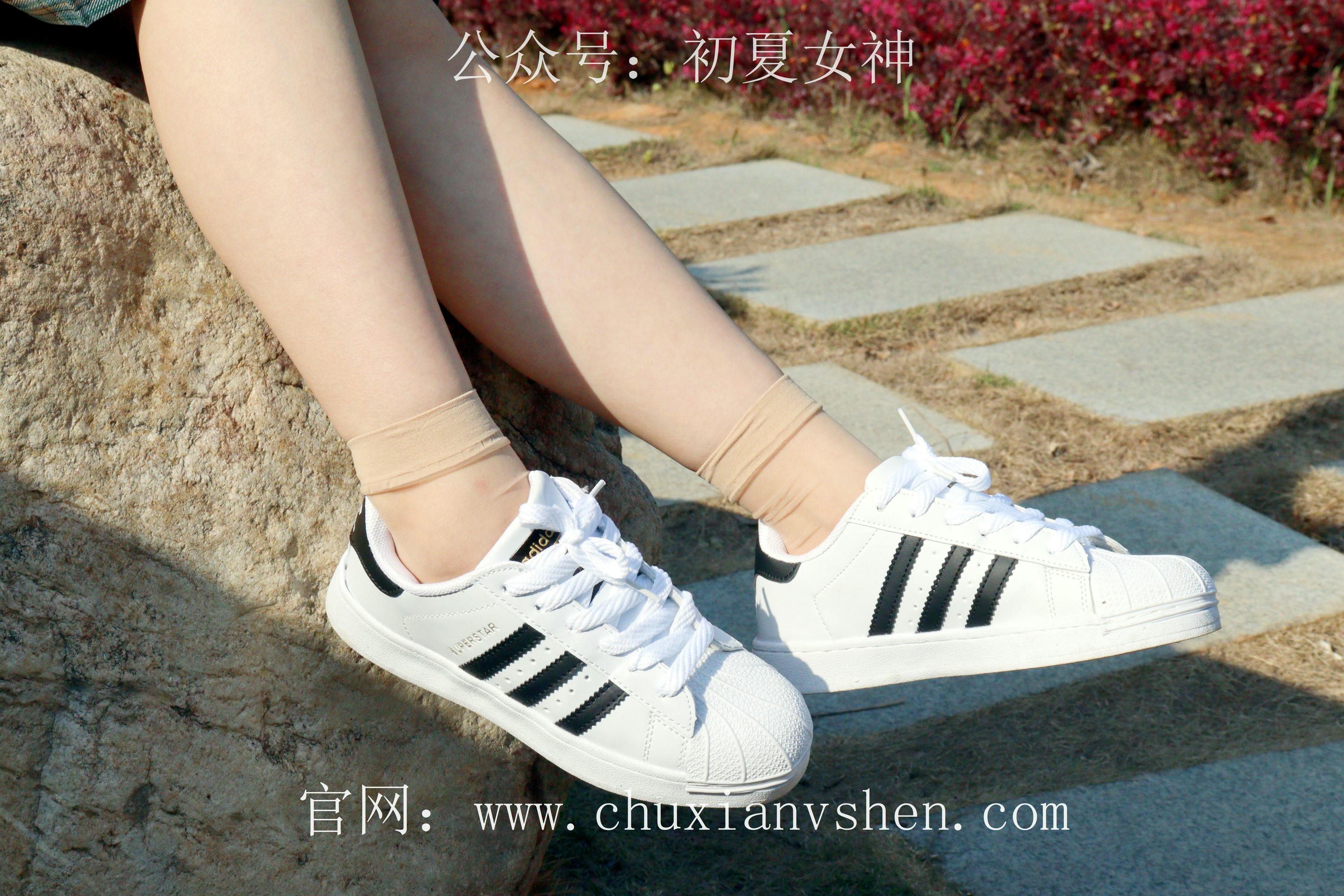 初夏女神 NO.232 念念~墨绿色JK搭配三叶草贝壳头鞋 [155P1V 4.84 GB]-155P_第3集