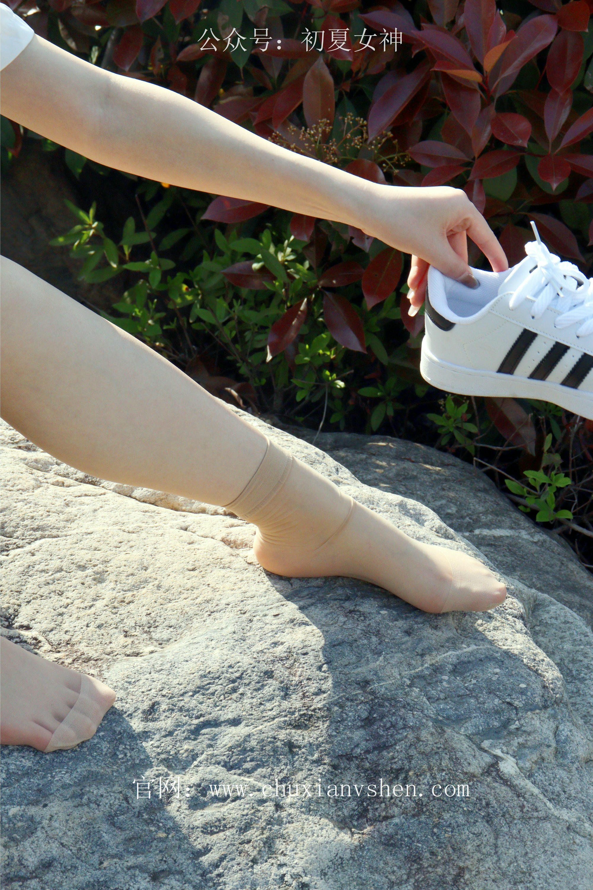 初夏女神 NO.232 念念~墨绿色JK搭配三叶草贝壳头鞋 [155P1V 4.84 GB]-155P_第4集