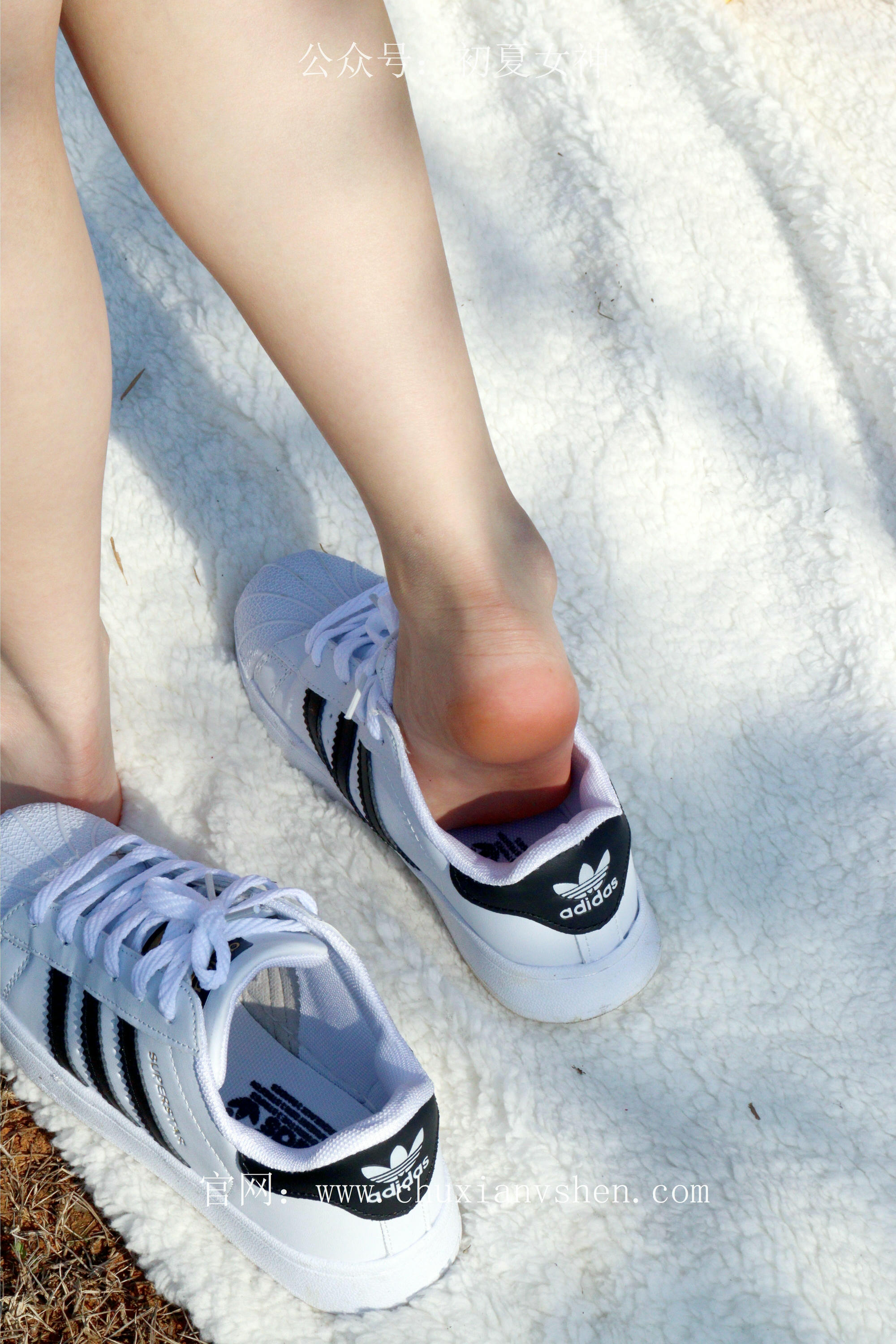 初夏女神 NO.232 念念~墨绿色JK搭配三叶草贝壳头鞋 [155P1V 4.84 GB]-155P_第5集