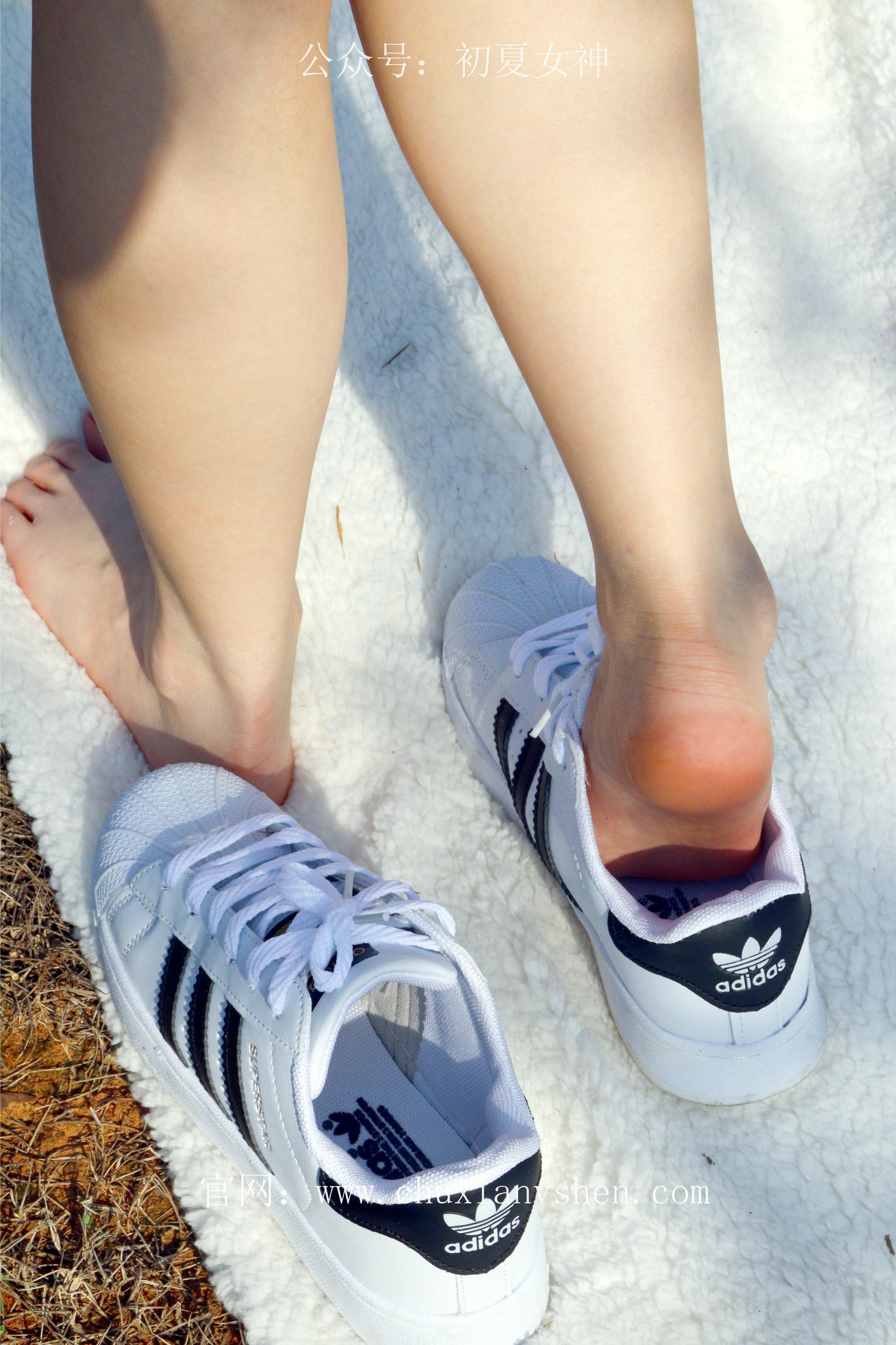 初夏女神 NO.232 念念~墨绿色JK搭配三叶草贝壳头鞋 [155P1V 4.84 GB]-155P_第5集