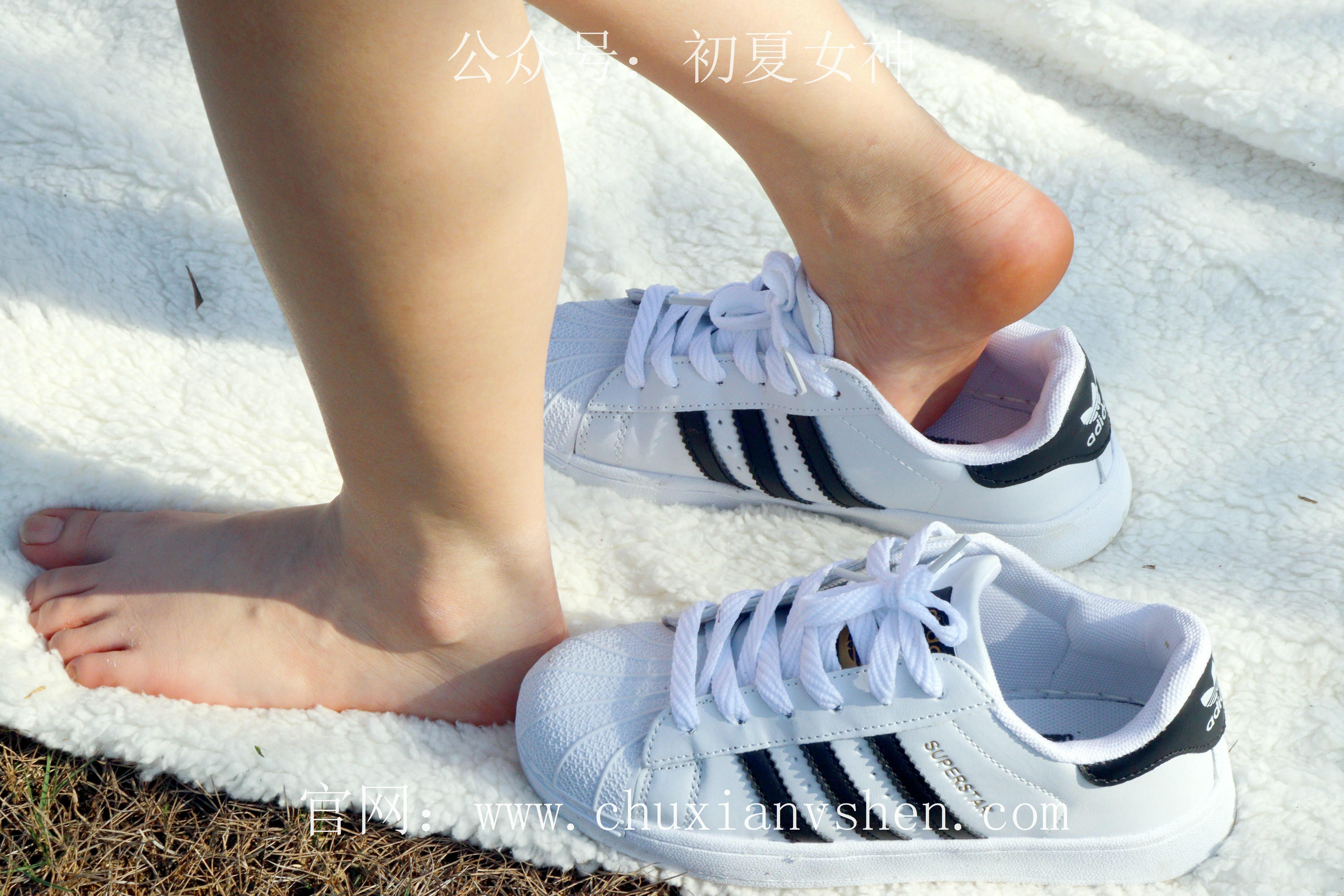 初夏女神 NO.232 念念~墨绿色JK搭配三叶草贝壳头鞋 [155P1V 4.84 GB]-155P_第5集