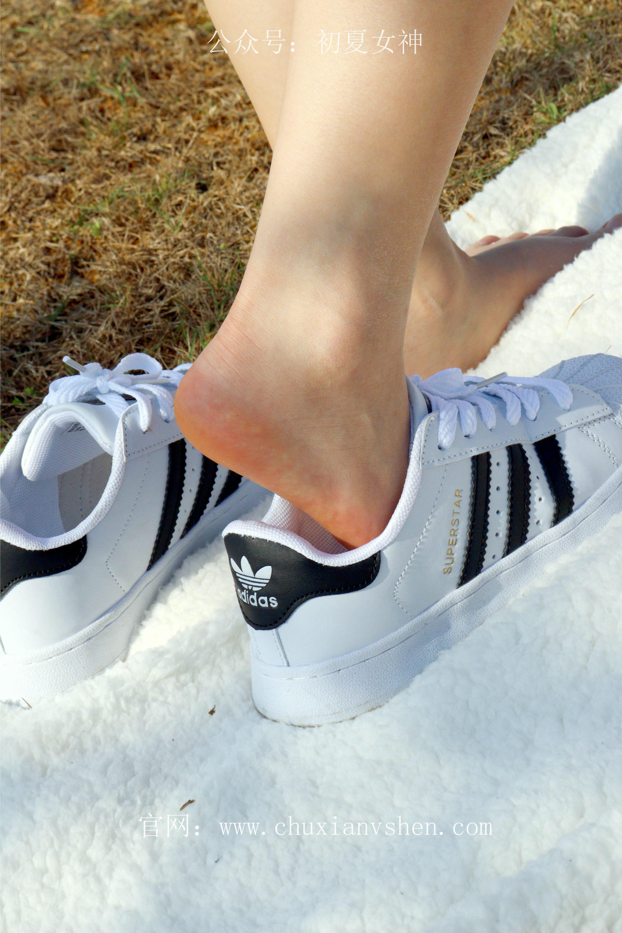 初夏女神 NO.232 念念~墨绿色JK搭配三叶草贝壳头鞋 [155P1V 4.84 GB]-155P_第5集