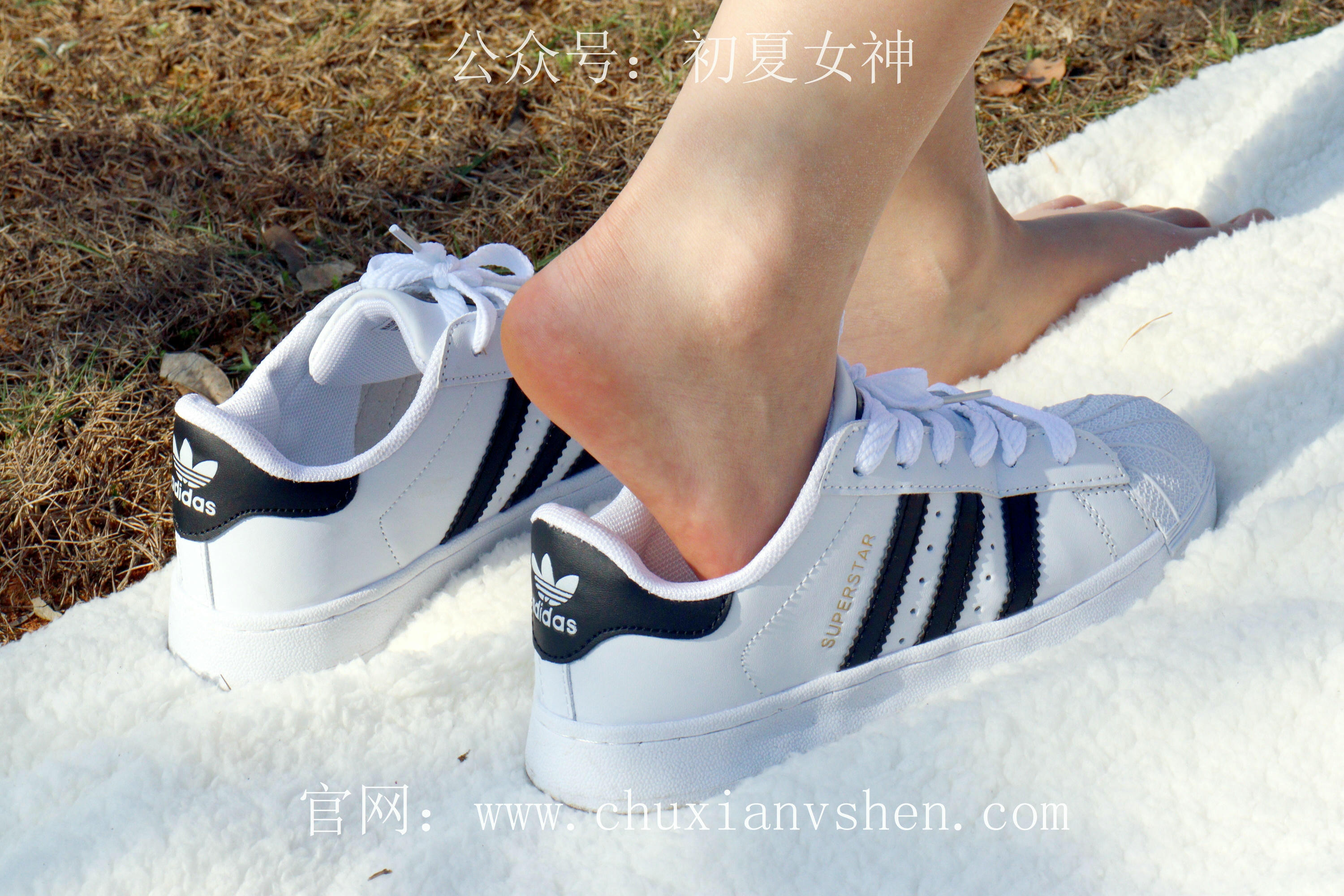 初夏女神 NO.232 念念~墨绿色JK搭配三叶草贝壳头鞋 [155P1V 4.84 GB]-155P_第5集