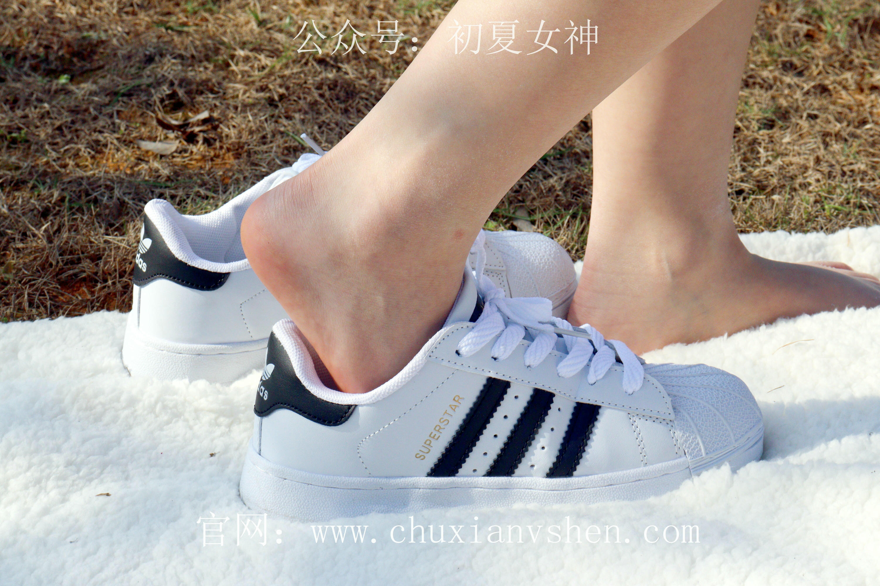 初夏女神 NO.232 念念~墨绿色JK搭配三叶草贝壳头鞋 [155P1V 4.84 GB]-155P_第5集