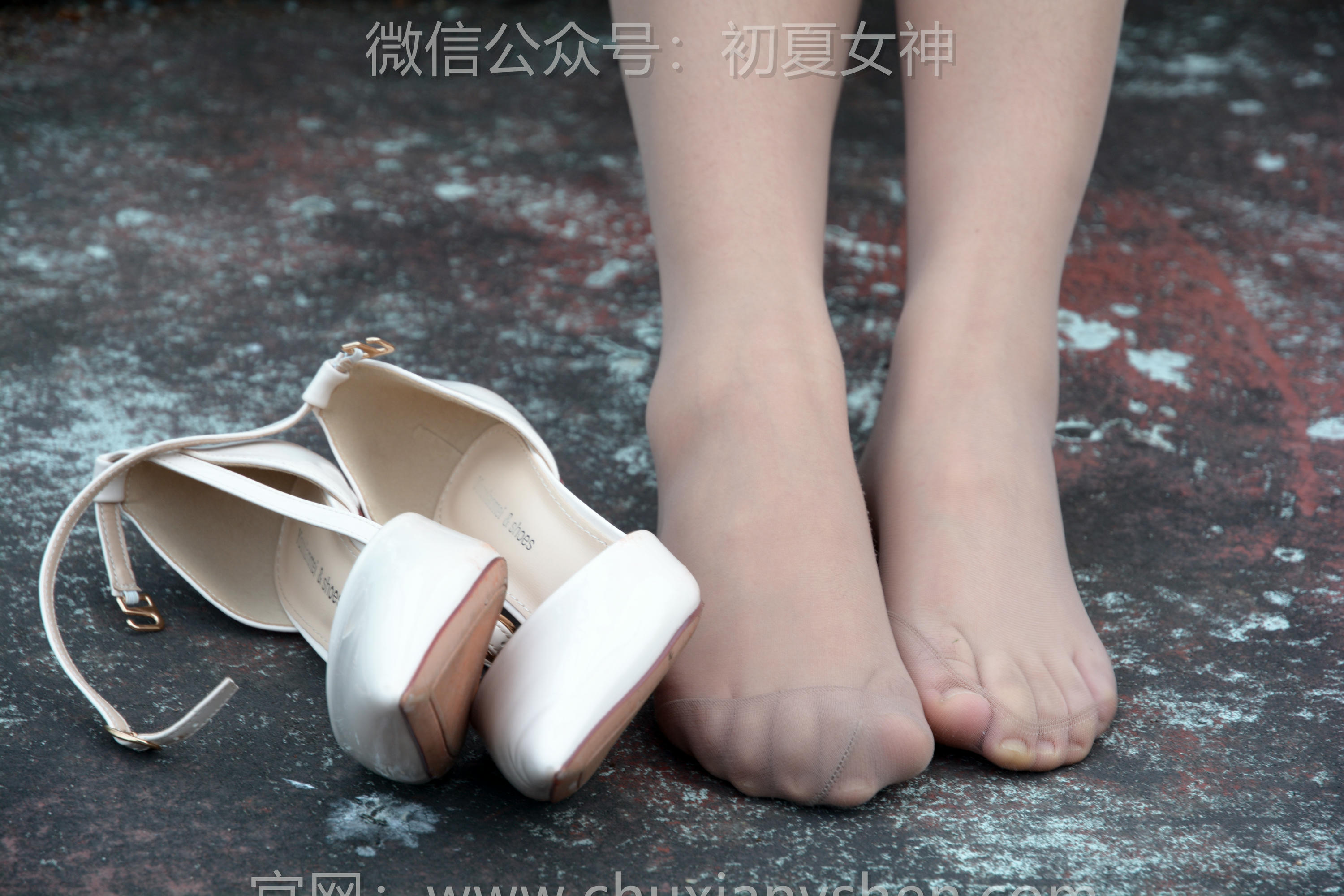 初夏女神 NO.248 点点 夏去秋来 [100P1V 4.10GB]_第5集