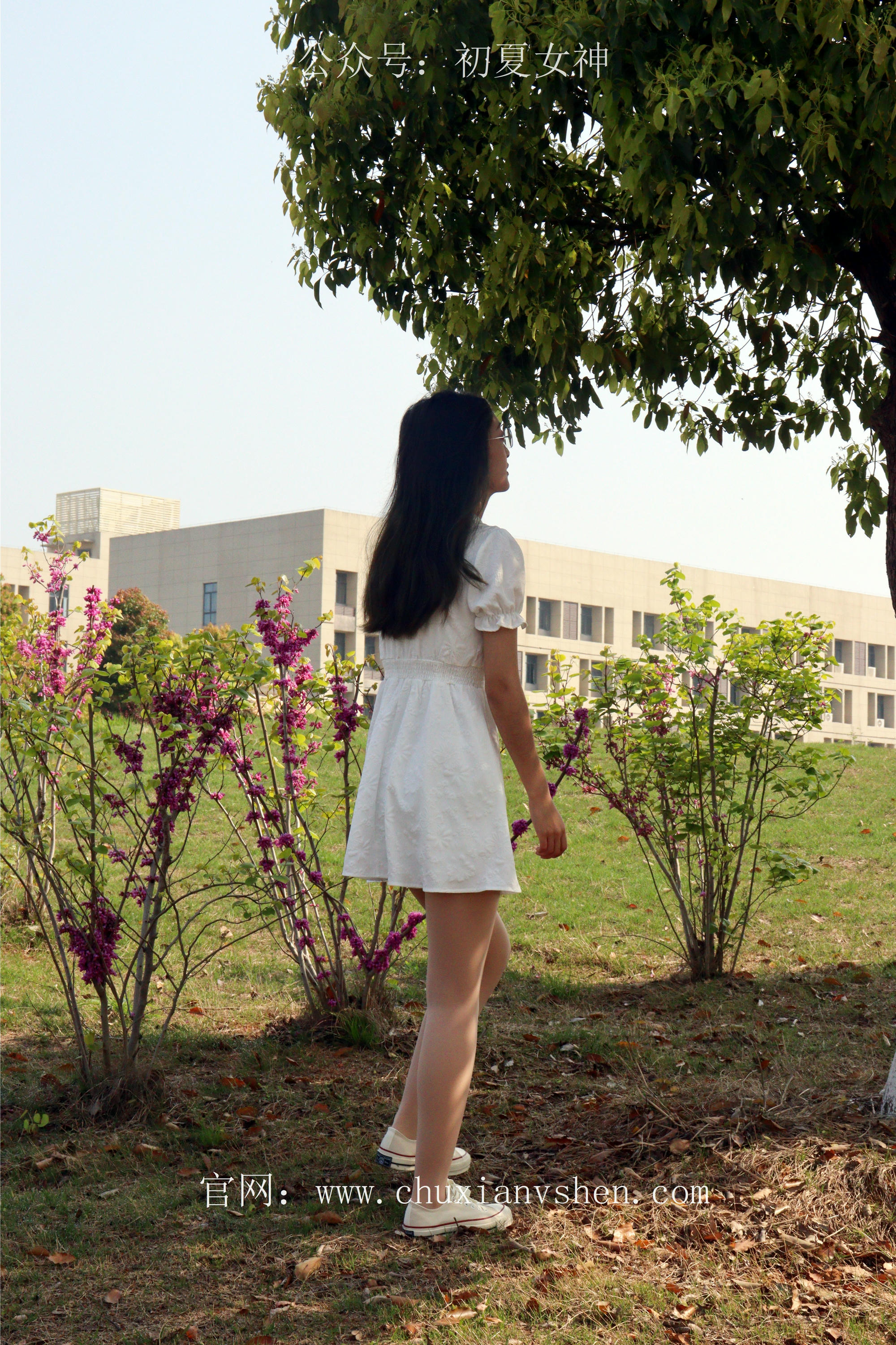 初夏女神合集_第32集