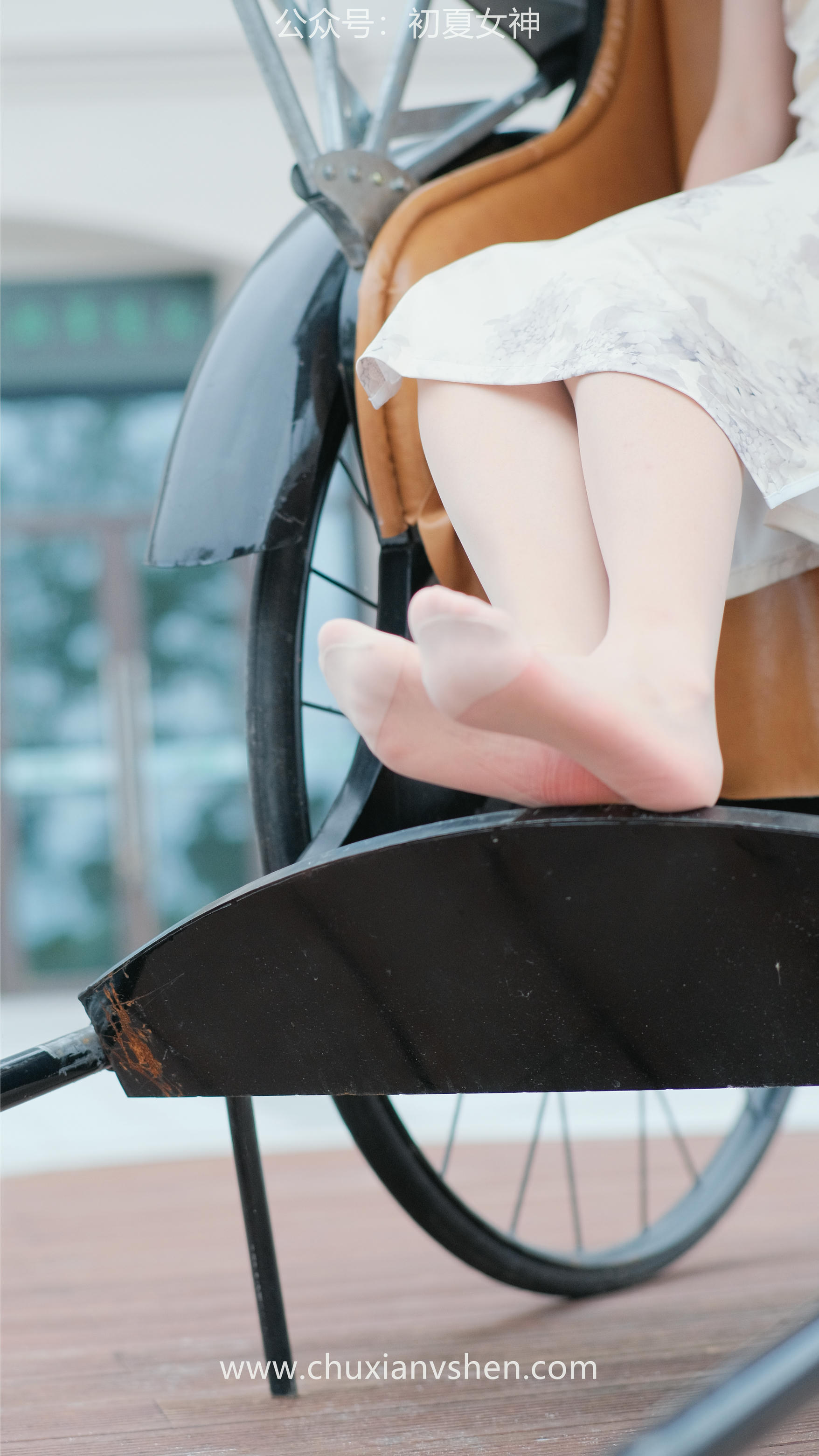 初夏女神 NO.049 双双 旗袍少女[203P+1V／6.58GB]_第3集