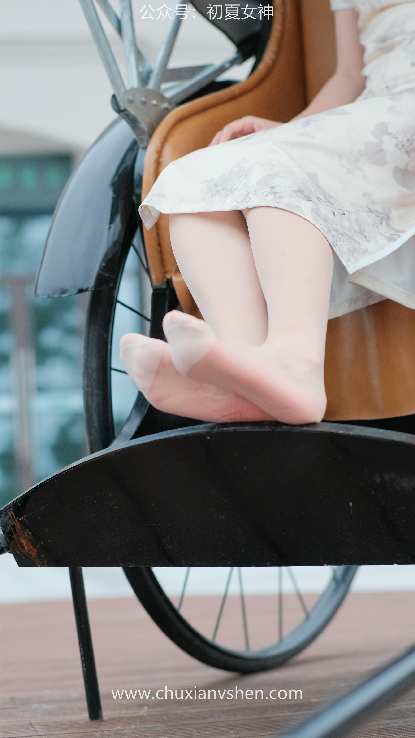 初夏女神 NO.049 双双 旗袍少女[203P+1V／6.58GB]_第4集