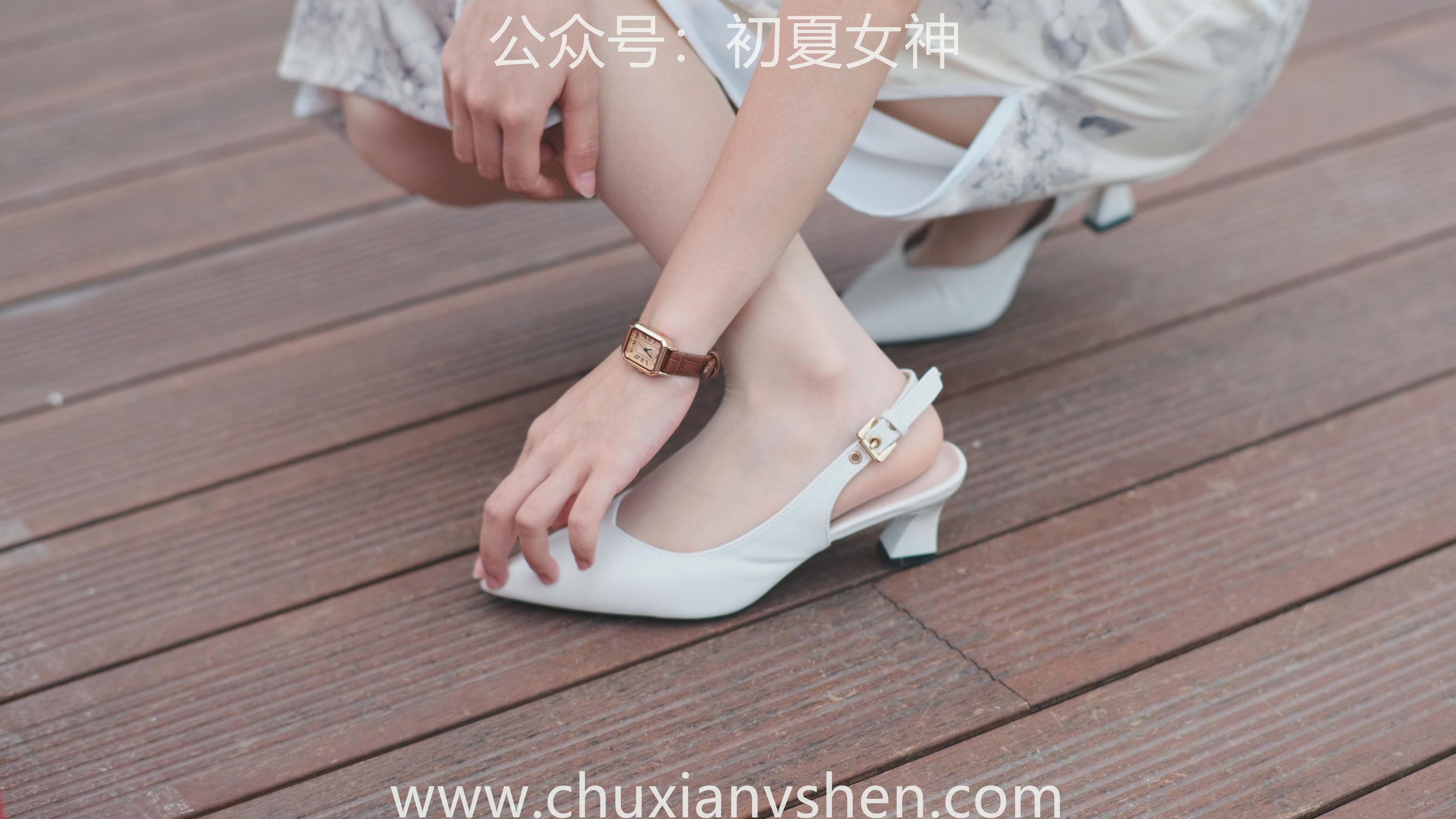 初夏女神 NO.049 双双 旗袍少女[203P+1V／6.58GB]_第5集