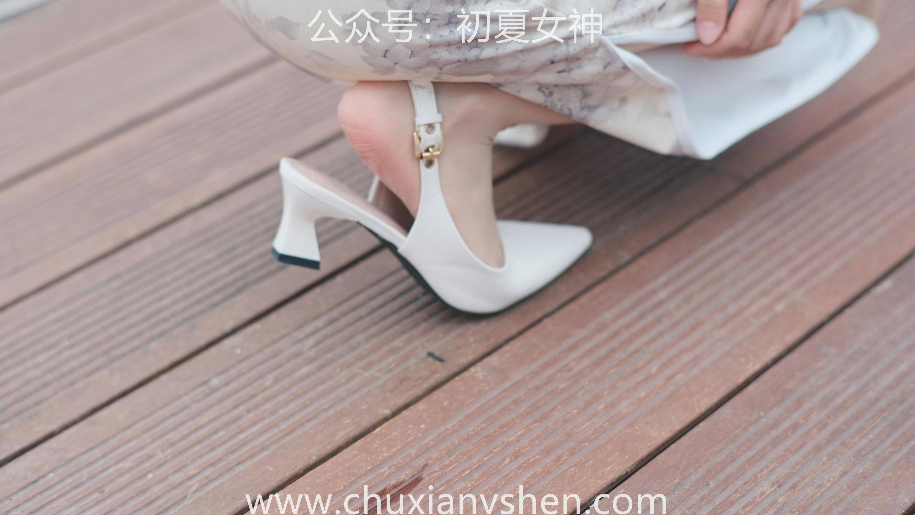 初夏女神 NO.049 双双 旗袍少女[203P+1V／6.58GB]_第5集