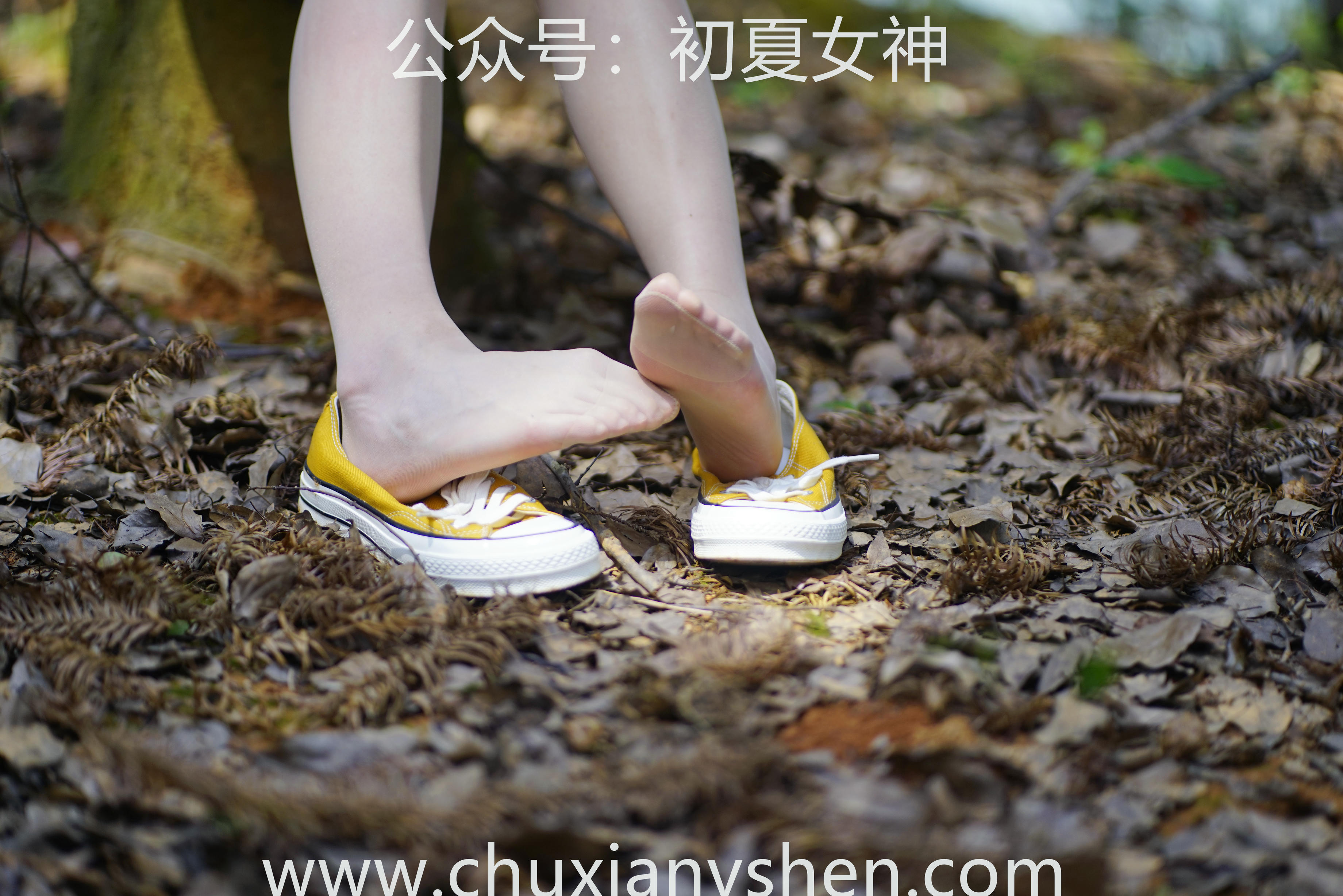 初夏女神 NO.052 大发 山野大发[132P+1V／4.04GB]_第4集